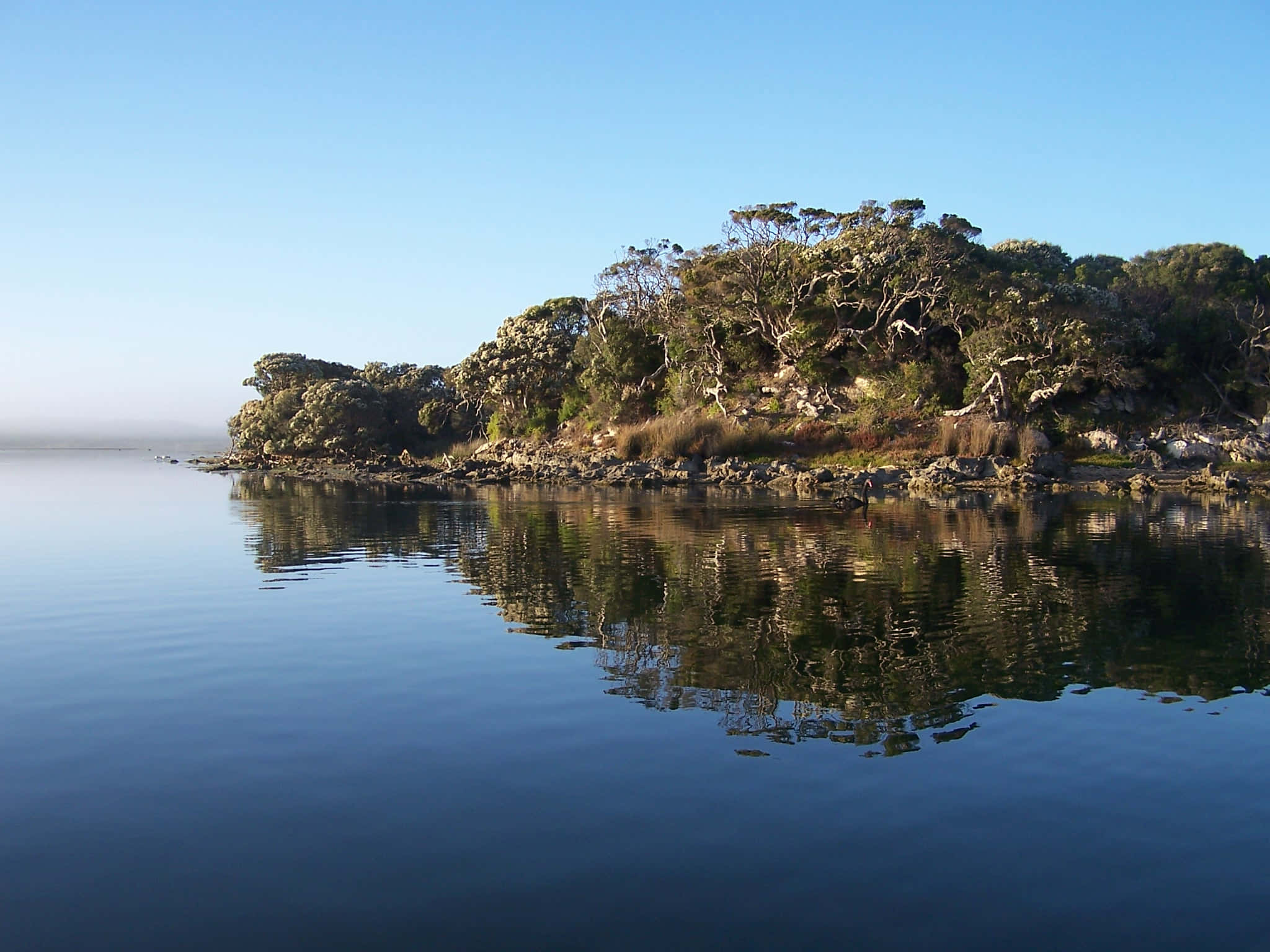 Glenelg, tranquil waterscape, dense green trees, Full HD Desktop Wallpaper