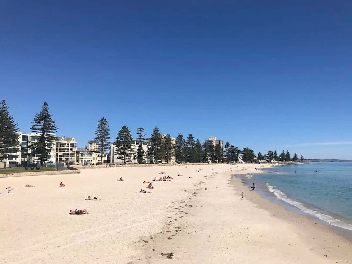 Glenelg Beach, sunny day, clear blue sky, SD Desktop Wallpaper