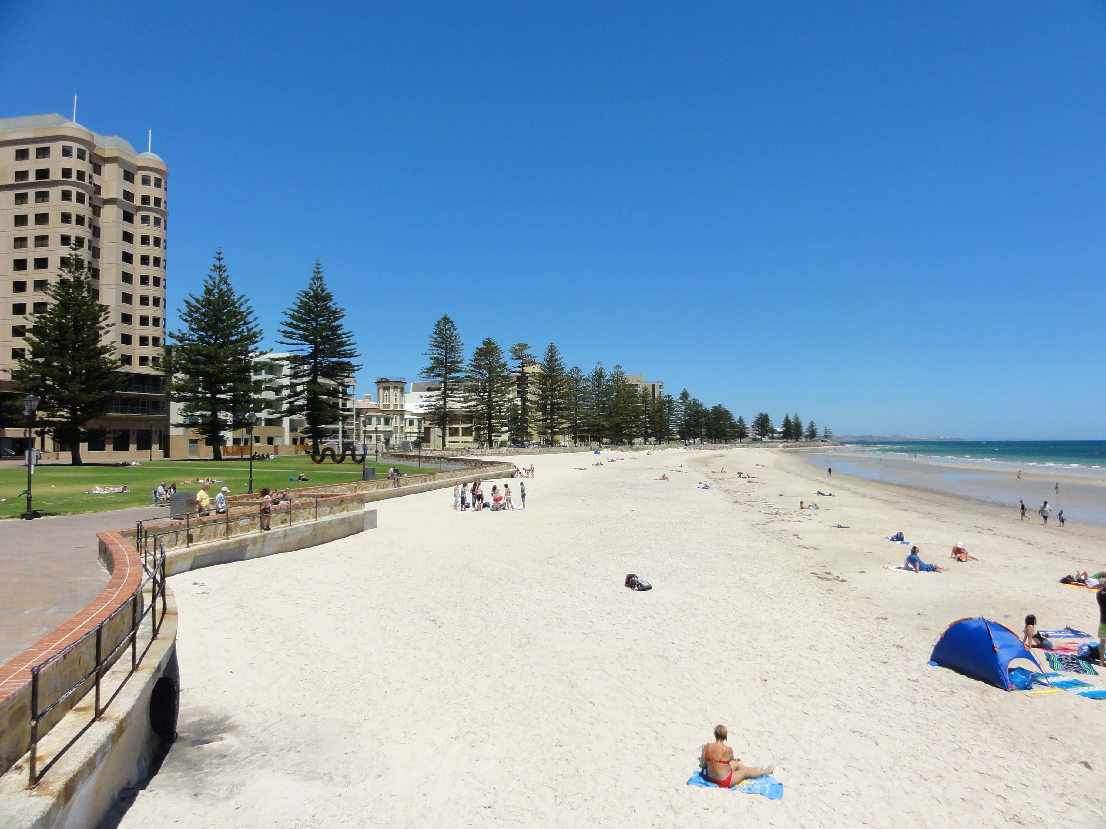 Glenelg Beach, white sand, tall pine trees, 2K Desktop Wallpaper