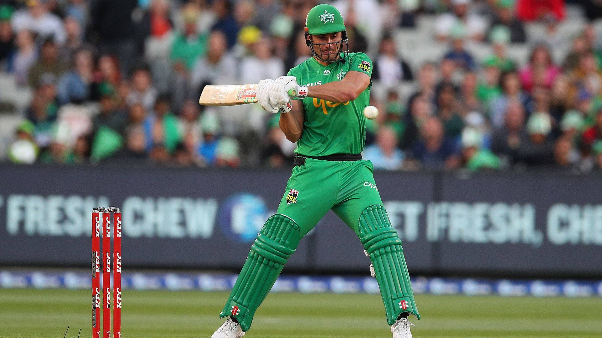 Glenn Maxwell, all green cricket uniform, cricket batsman, Full HD Desktop Wallpaper
