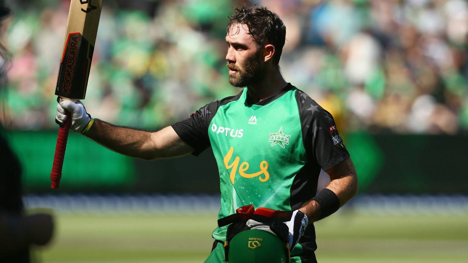 Glenn Maxwell, green jersey, bat, HD Desktop Wallpaper