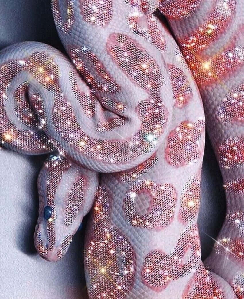 glitter aesthetic tumblr, pink and gold scales, coiled snake, SD Phone Wallpaper