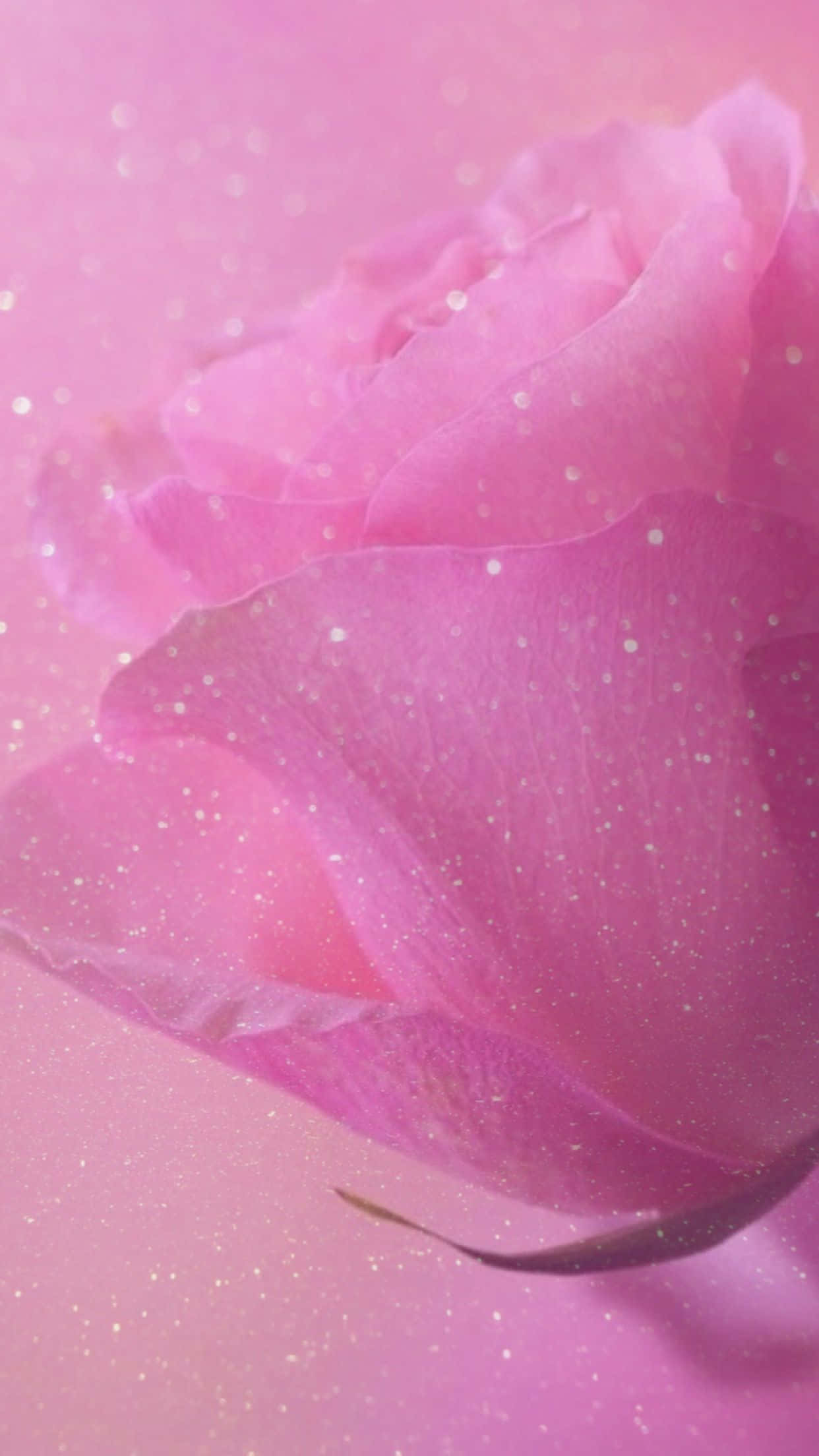 glitter aesthetic tumblr, soft pink rose, glittering particles, Full HD Phone Wallpaper