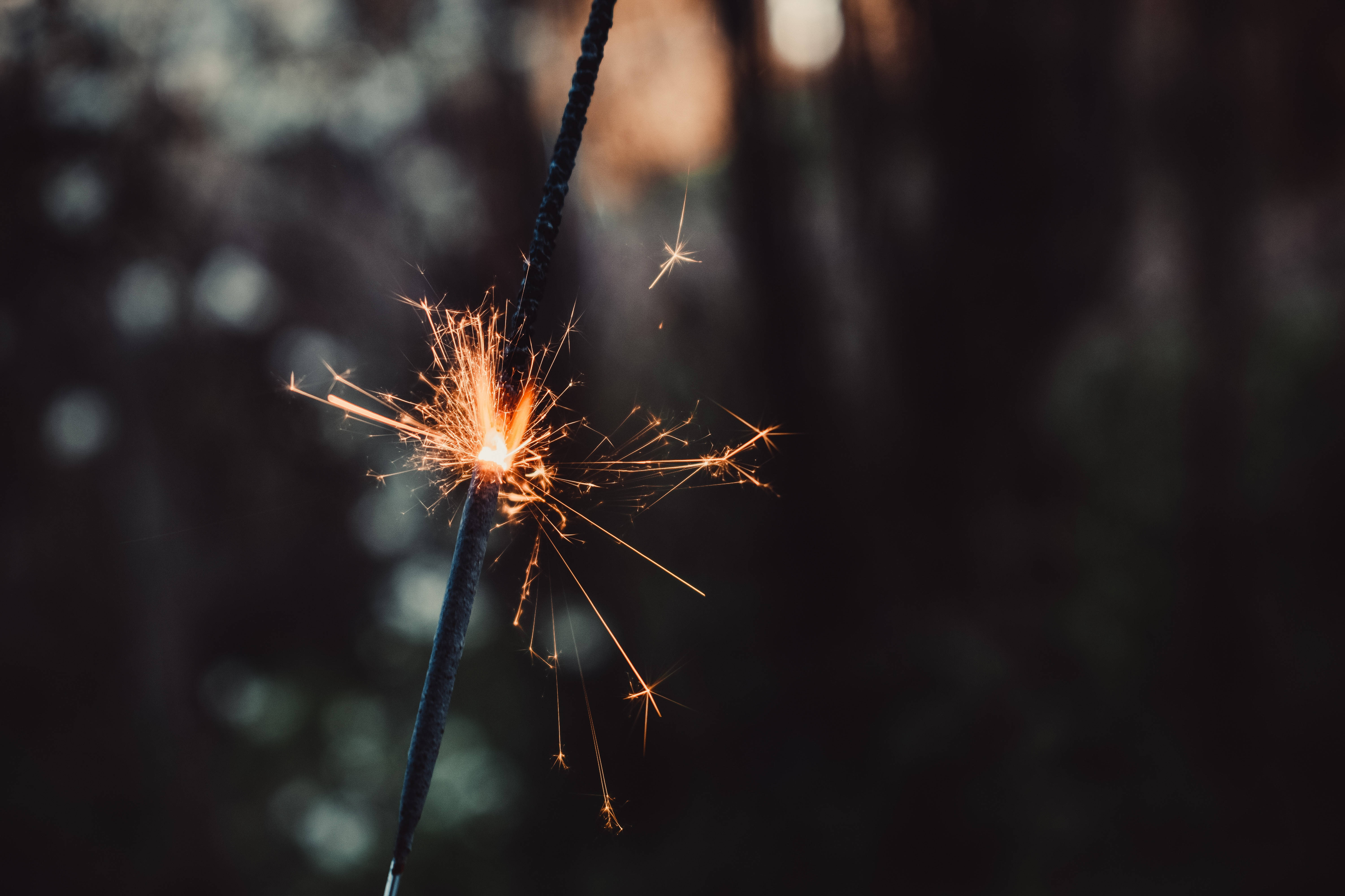 sparkler, golden sparks, dark blurred forest, 5K Desktop Wallpaper