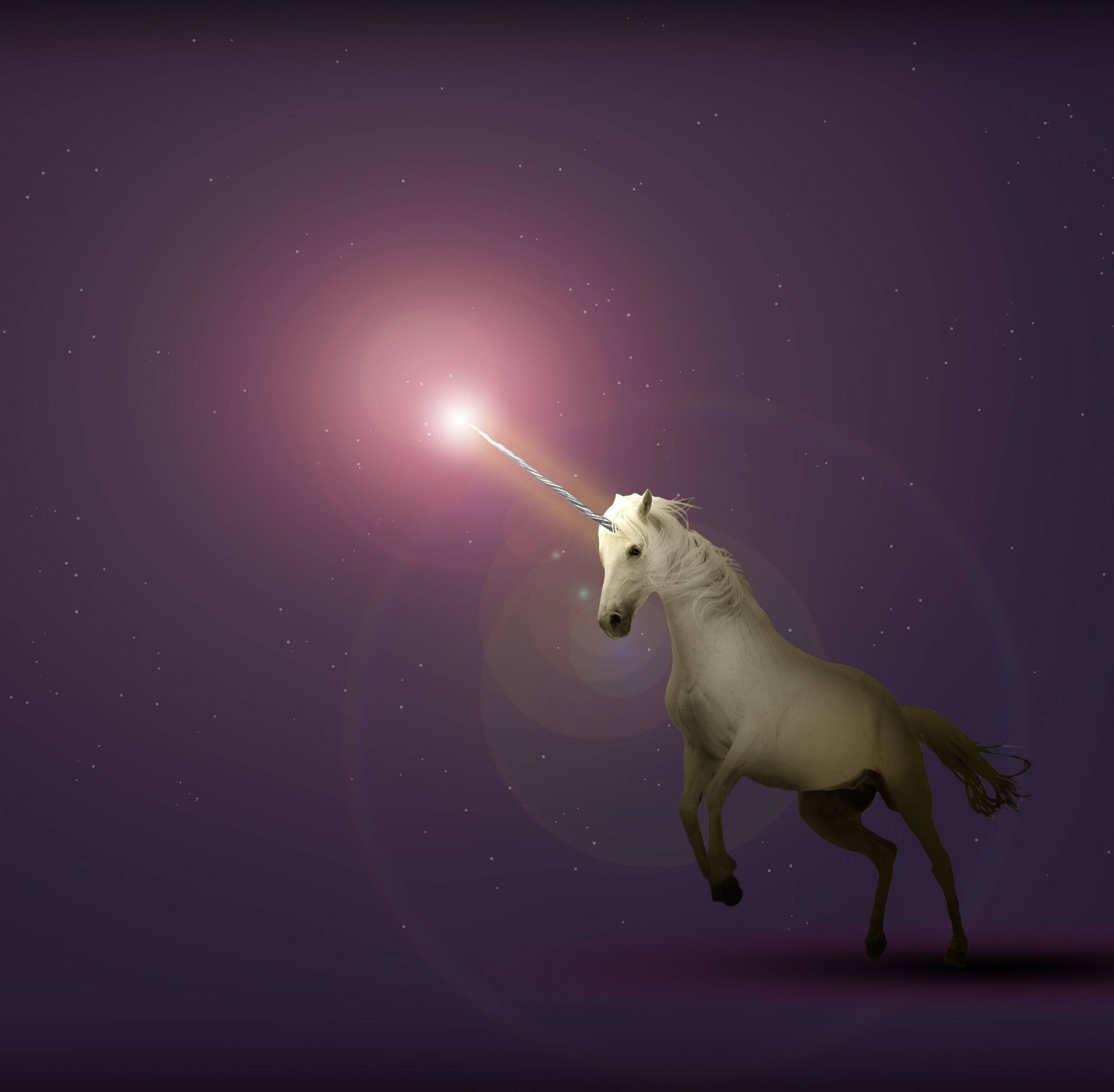white unicorn, starry purple night sky, glowing horn, 2K Desktop Wallpaper