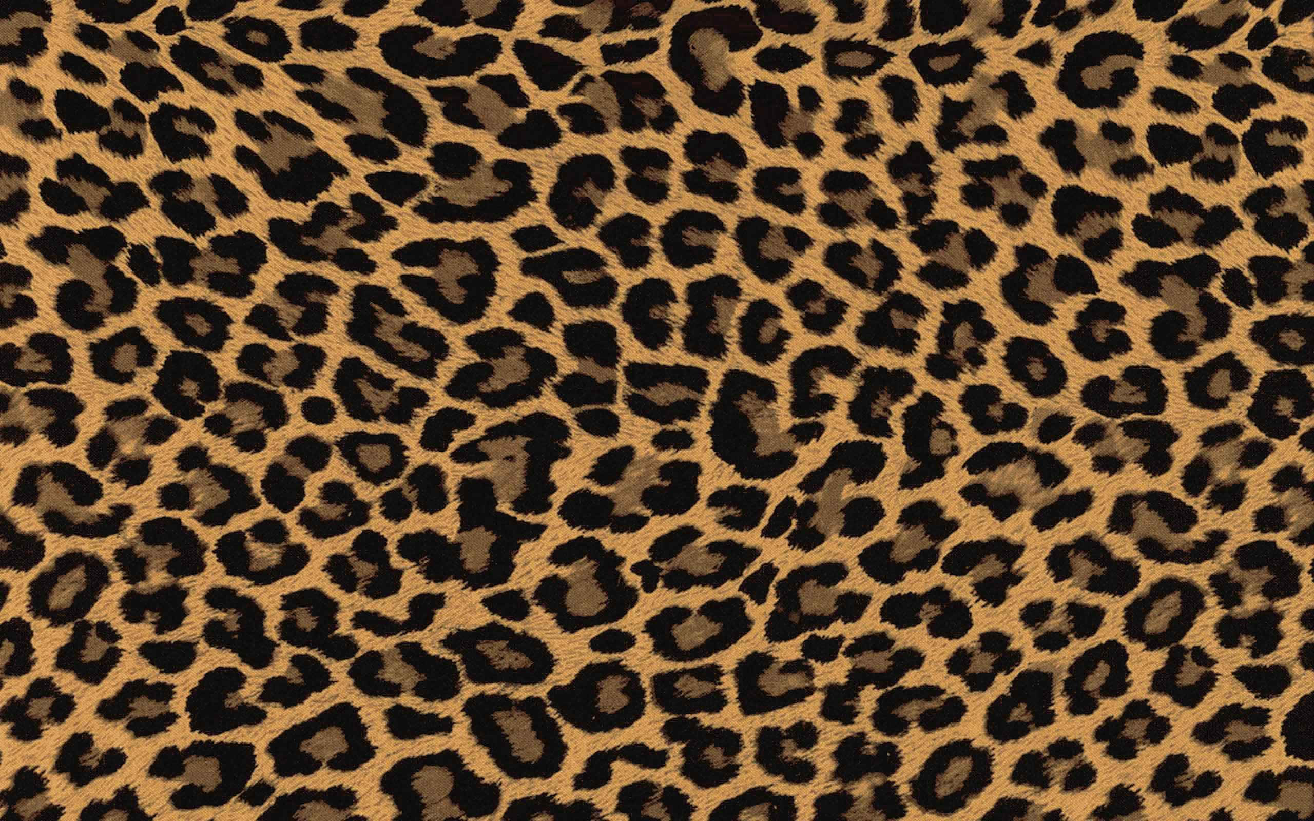 leopard print, black rosettes, tan fur-like background, 2K Desktop Wallpaper