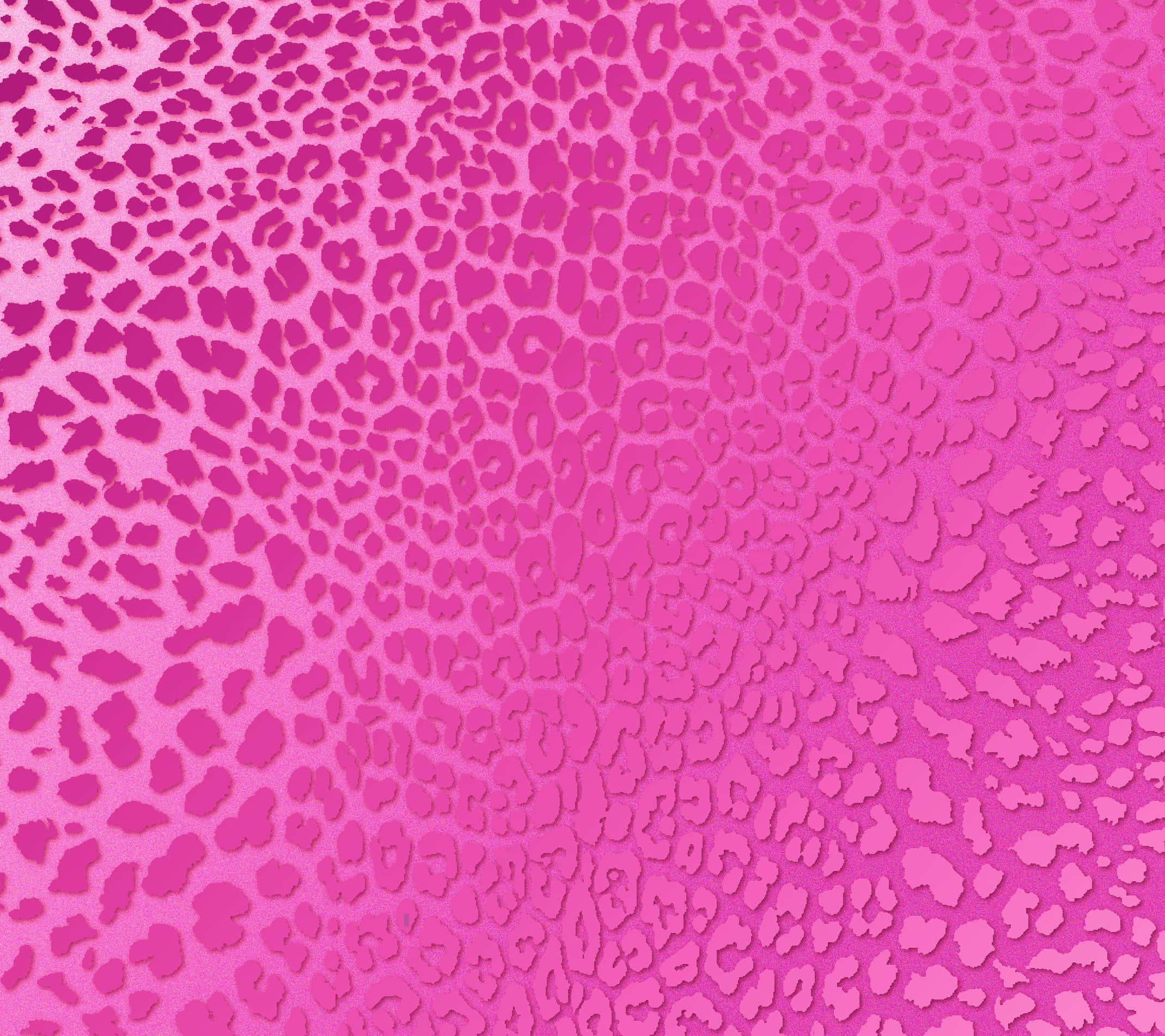 leopard pattern, pink background, vibrant pink, Full HD Desktop Wallpaper