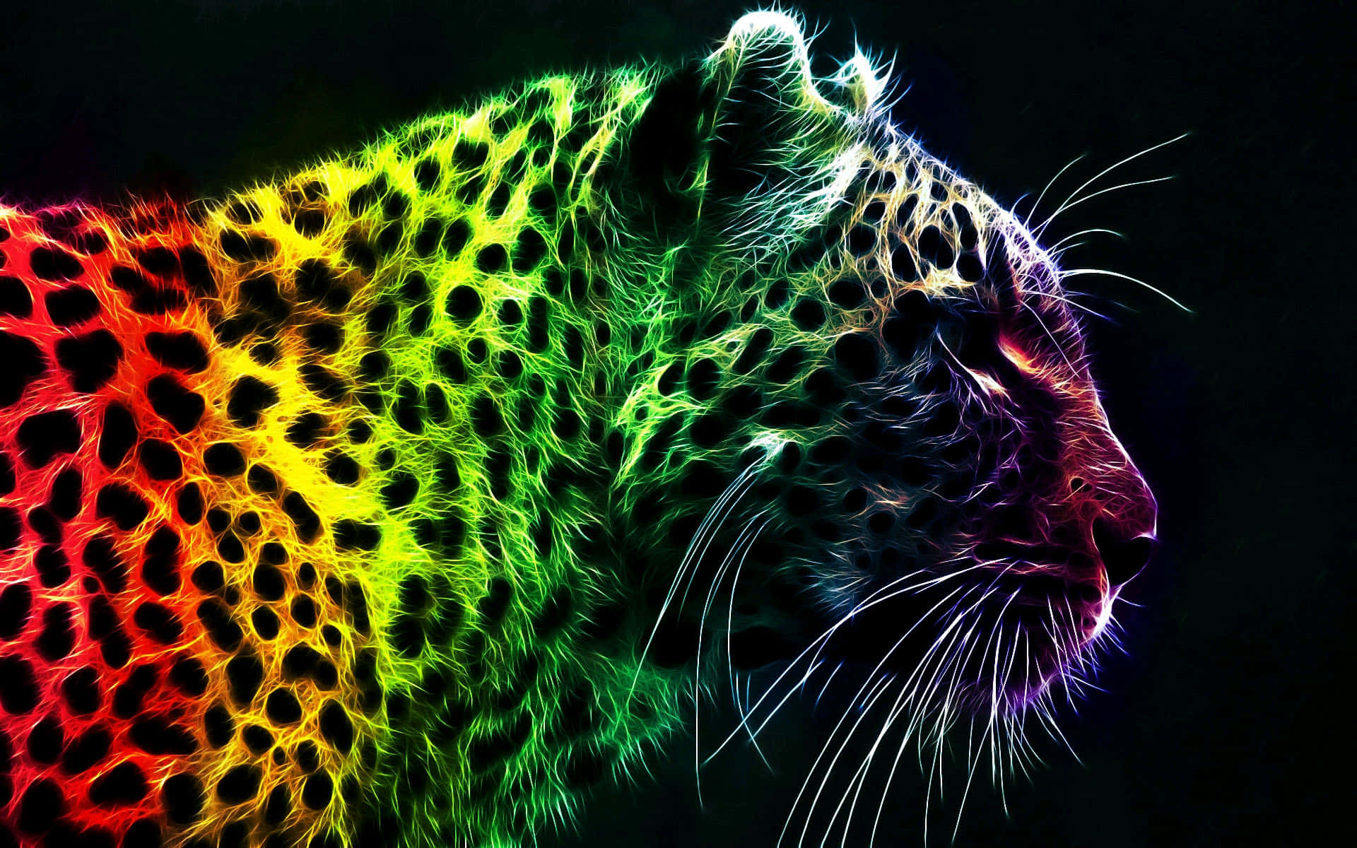 Glitter Leopard, neon rainbow, glowing fur, Full HD Desktop Wallpaper