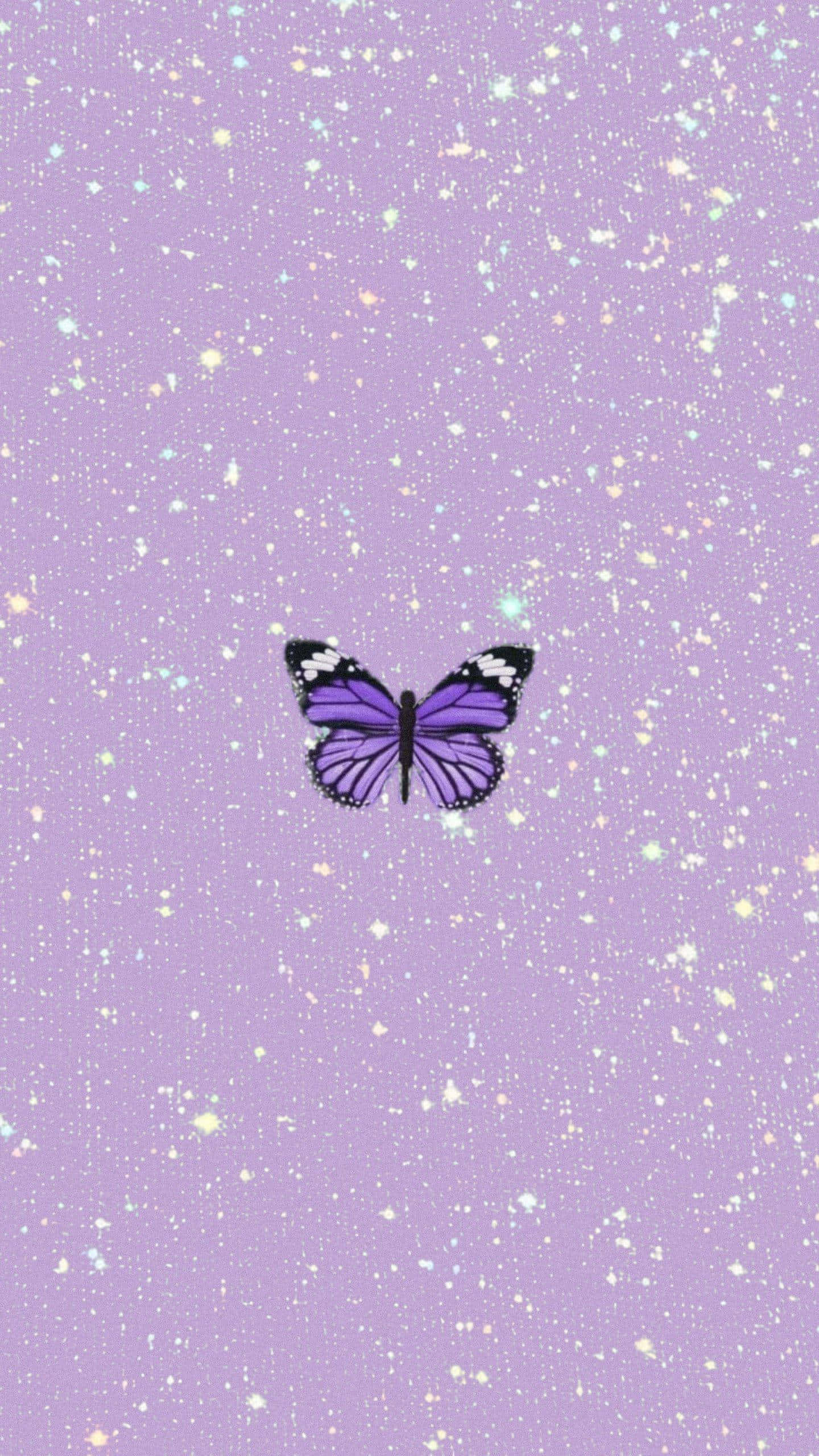 glitter butterfly, purple butterfly, black and white accents, 2K Phone Wallpaper