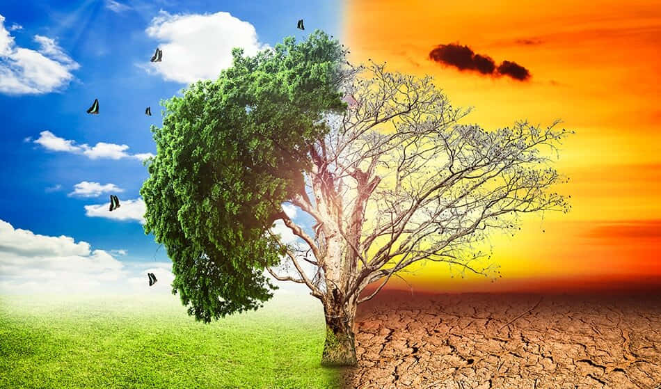 glacial retreat, orange sunset, cracked earth, SD Desktop Wallpaper