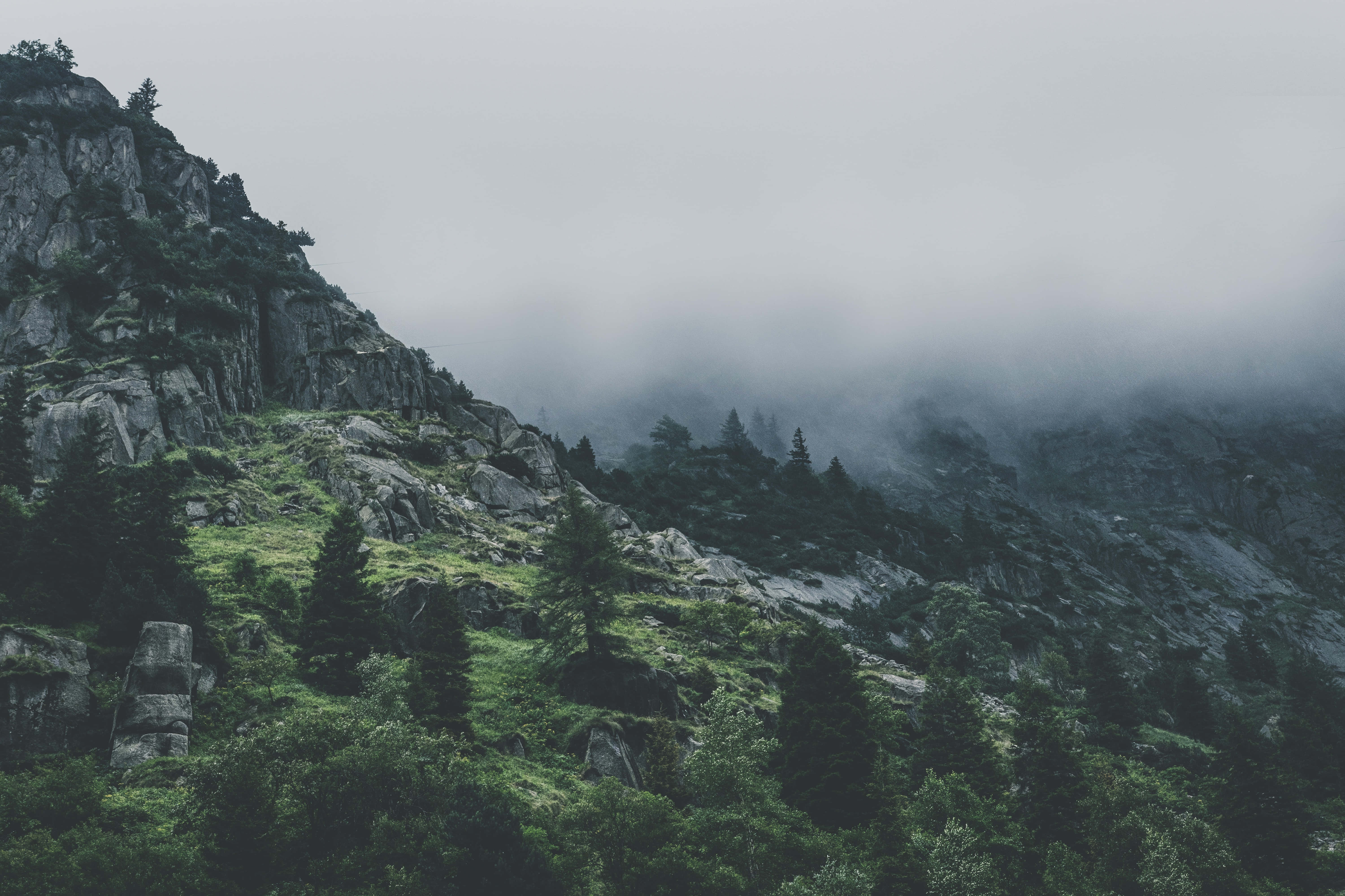 Gloomy, misty mountain slope, green moss, 5K Desktop Wallpaper