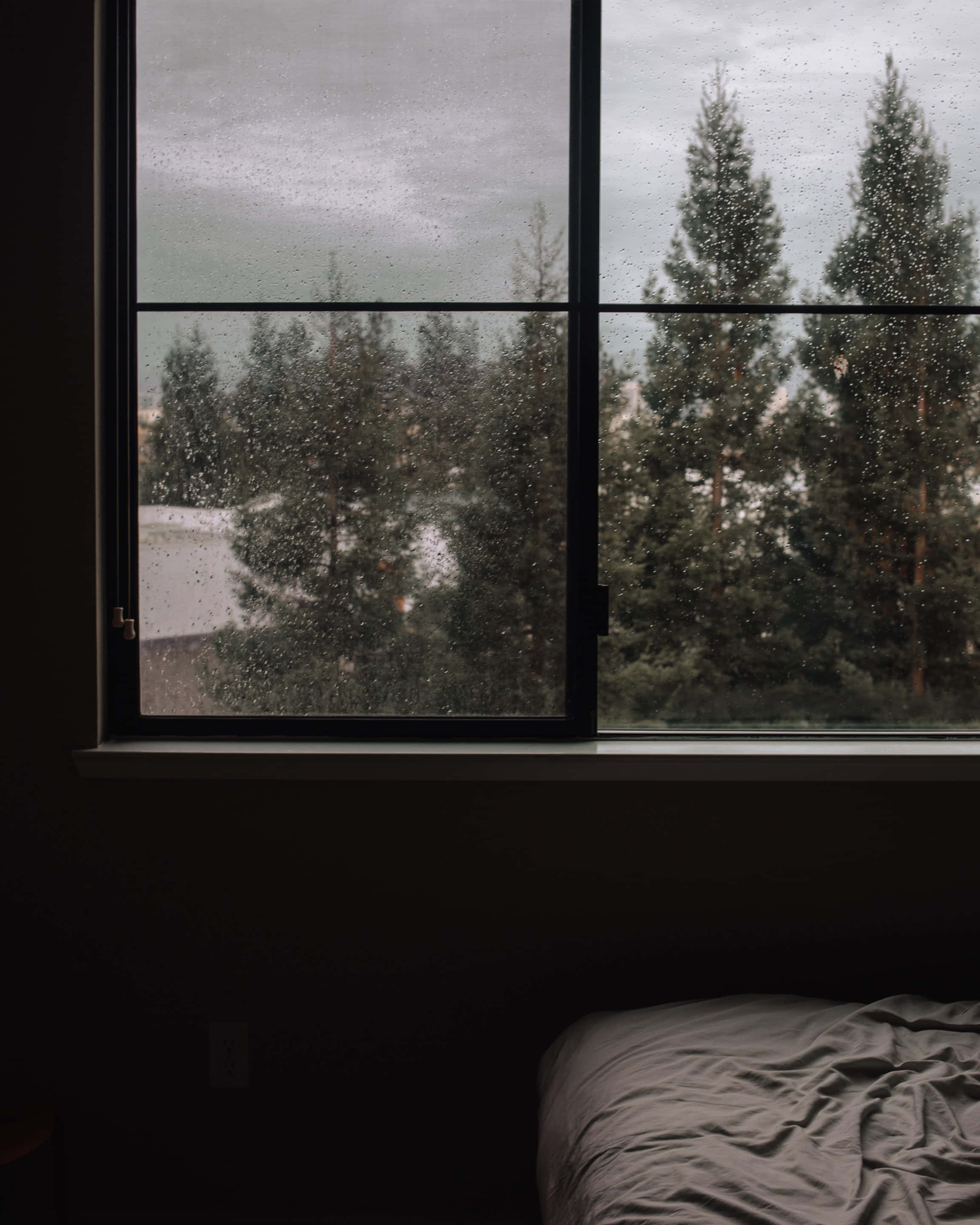 gloomy forest, overcast sky, rain-speckled window, 2K Phone Wallpaper