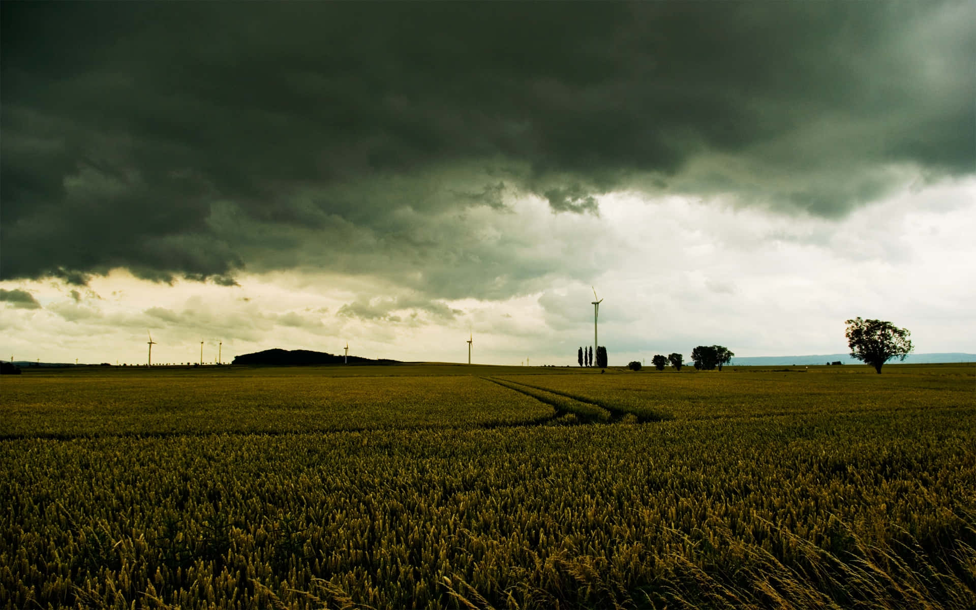 Gloomy, golden wheat field, brooding stormy sky, Full HD Desktop Wallpaper