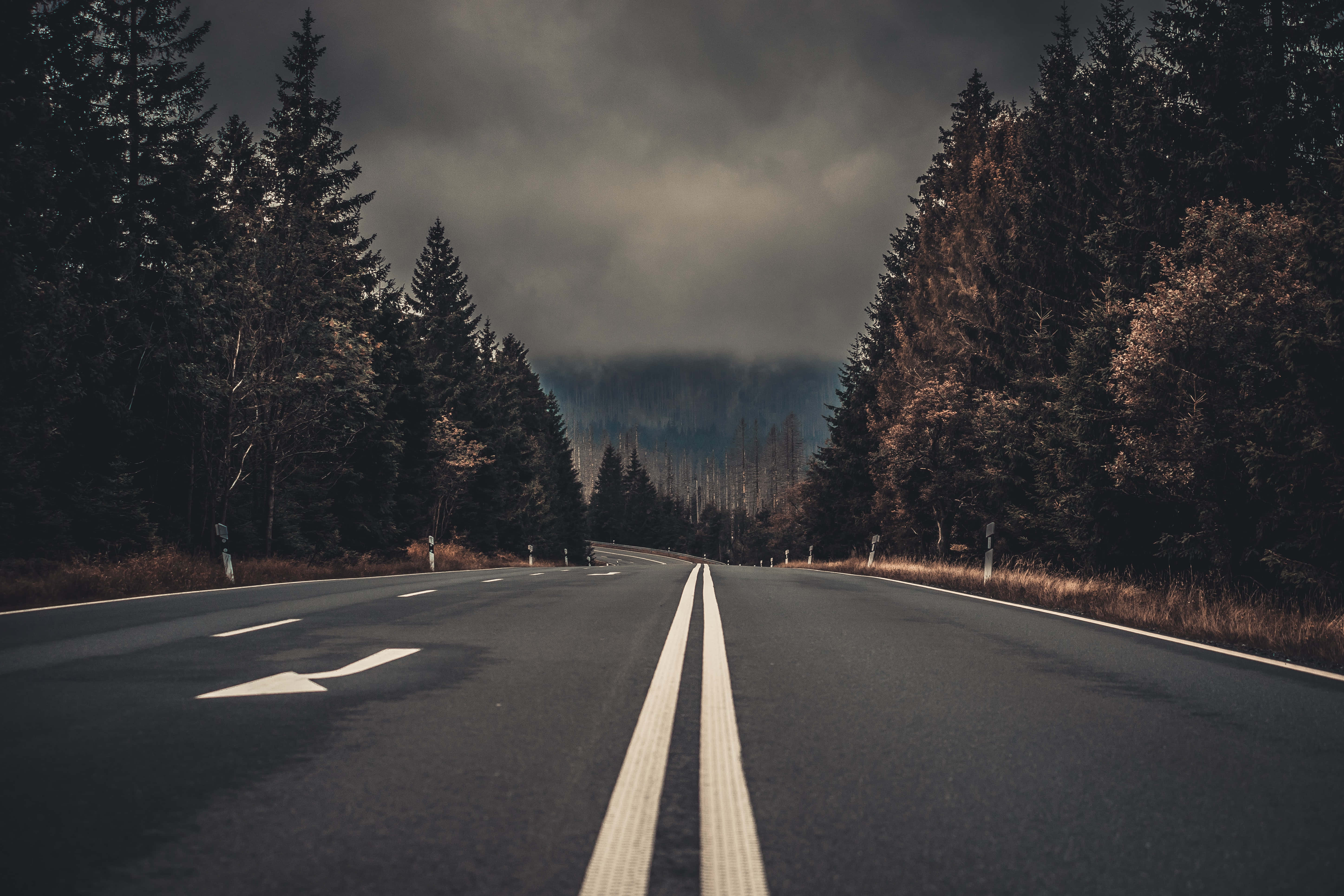 asphalt road, dense forest, heavy overcast sky, 5K Desktop Wallpaper
