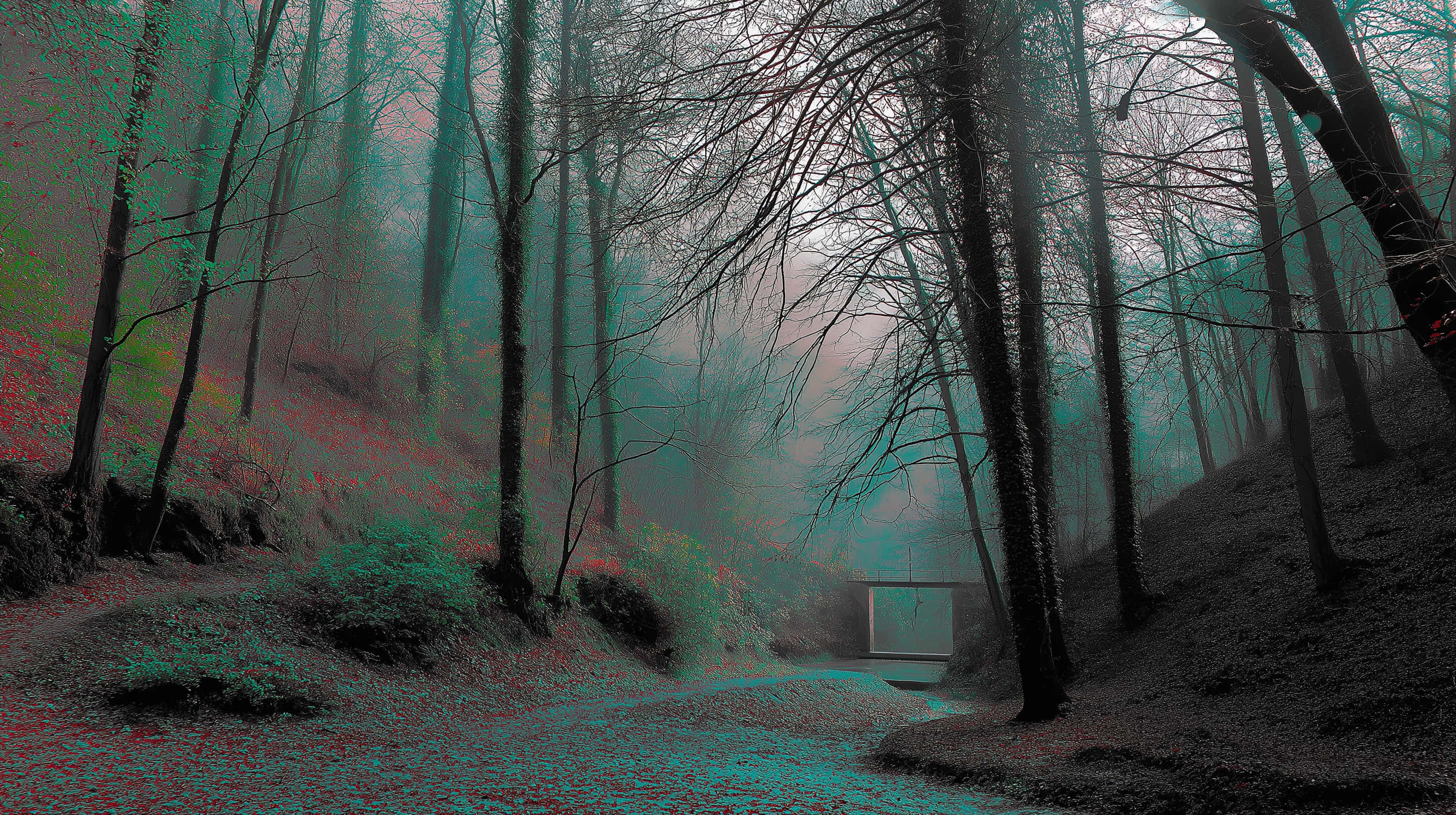 misty forest path, bare trees, red and teal color shifts, 2K Desktop Wallpaper