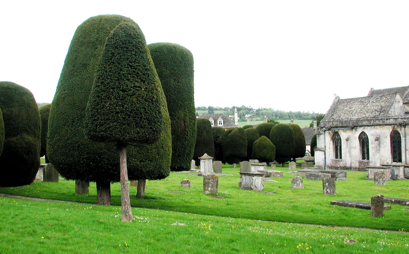 topiary trees, historic cemetery, Gloucester, HD Desktop Wallpaper