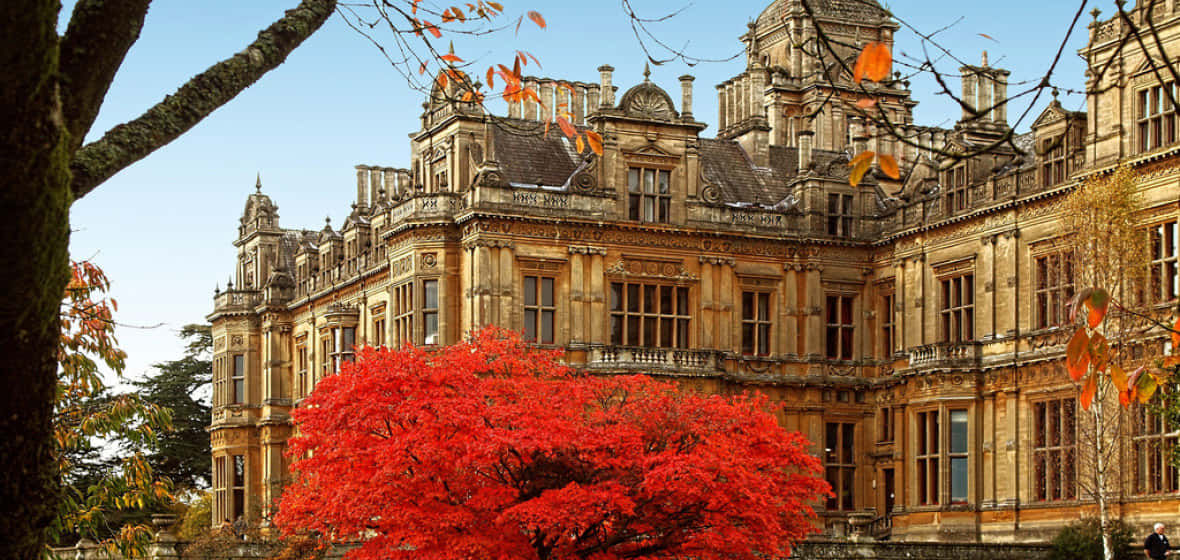autumnal historic mansion, Gloucester U K, vibrant red maple tree, SD Desktop Wallpaper