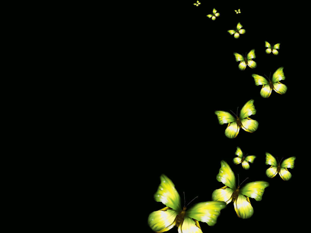green butterfly, glowing green, stark black background, SD Desktop Wallpaper