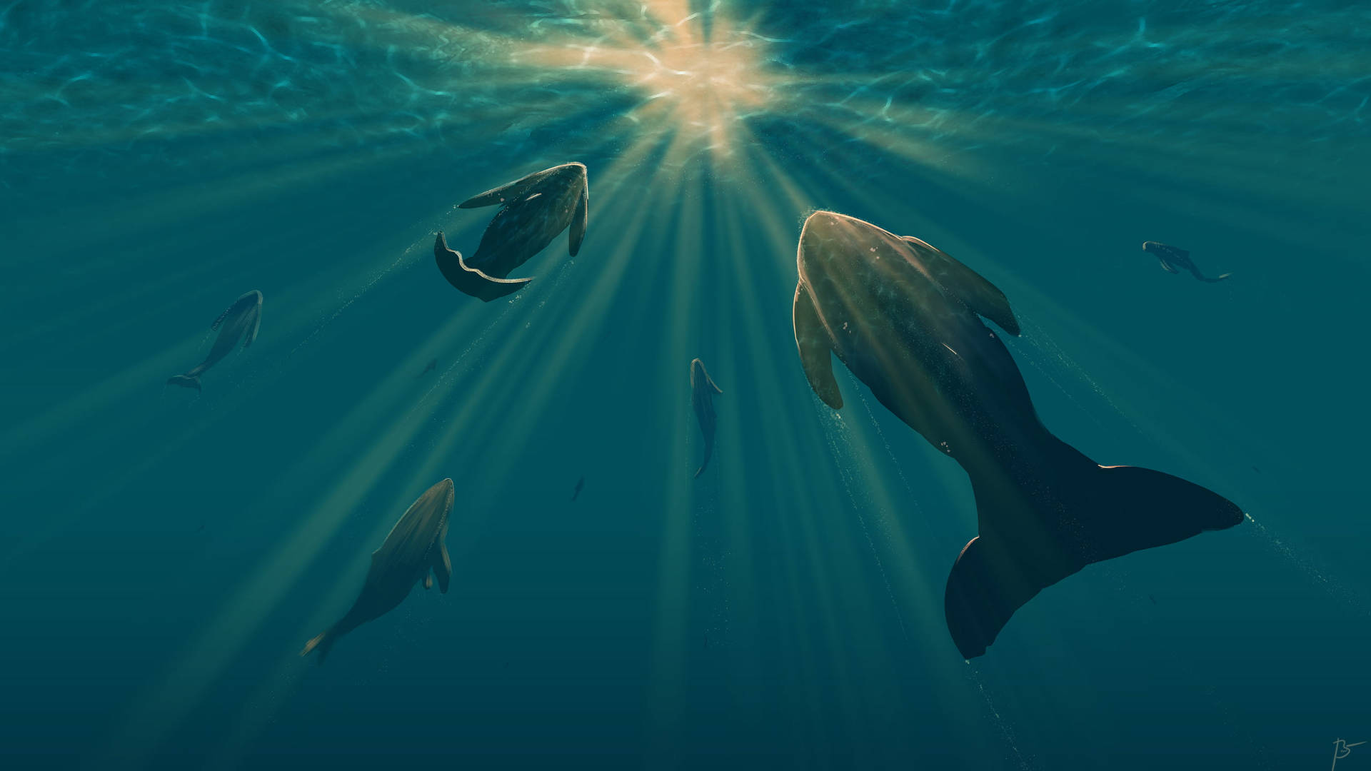 Gmail, whales, deep blue ocean, Full HD Desktop Wallpaper