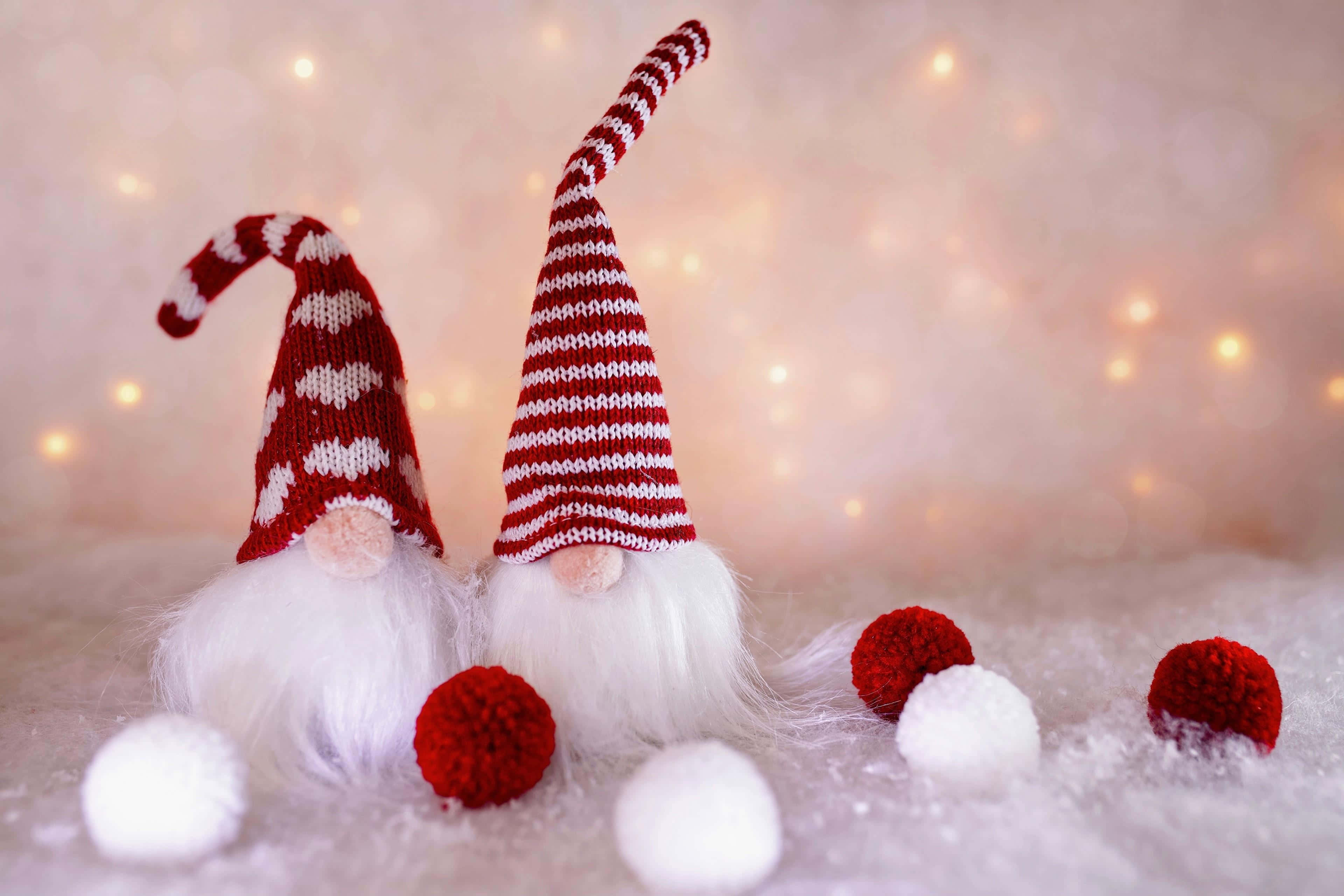 holiday gnomes, festive decoration, red and white hats, 4K Desktop Wallpaper