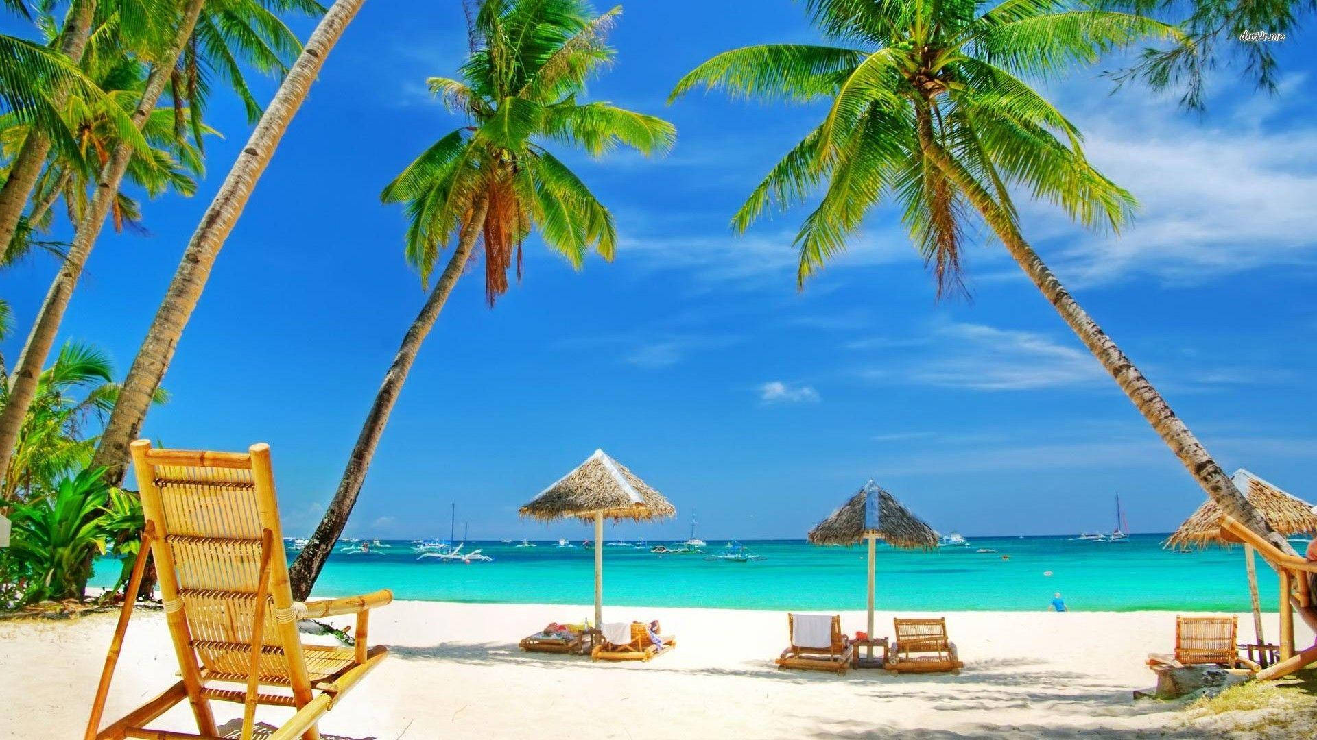 Goa India, tropical beach paradise, palm trees, Full HD Desktop Wallpaper