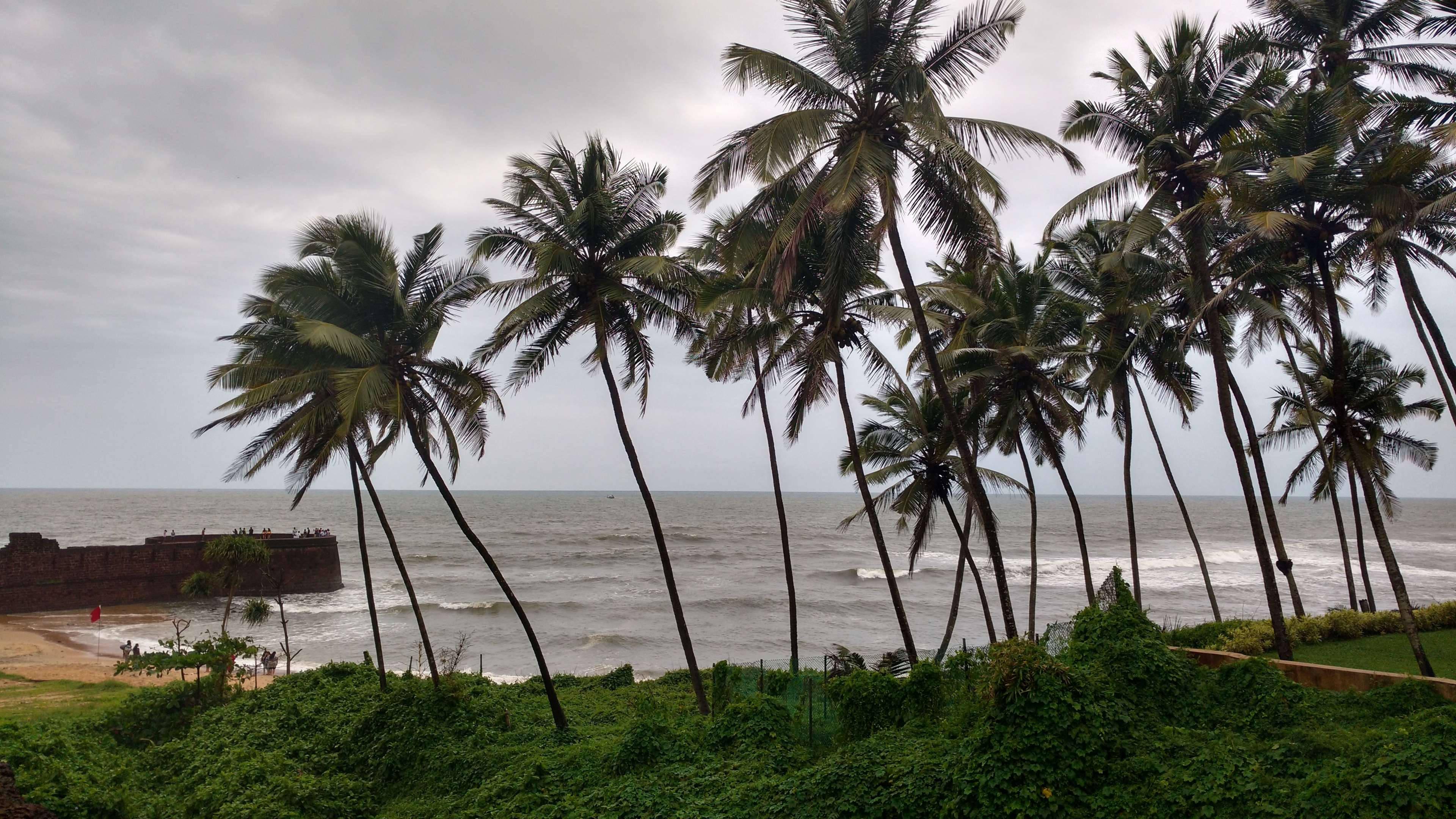 Goa India, tall palm trees, cloudy sky, 4K Desktop Wallpaper
