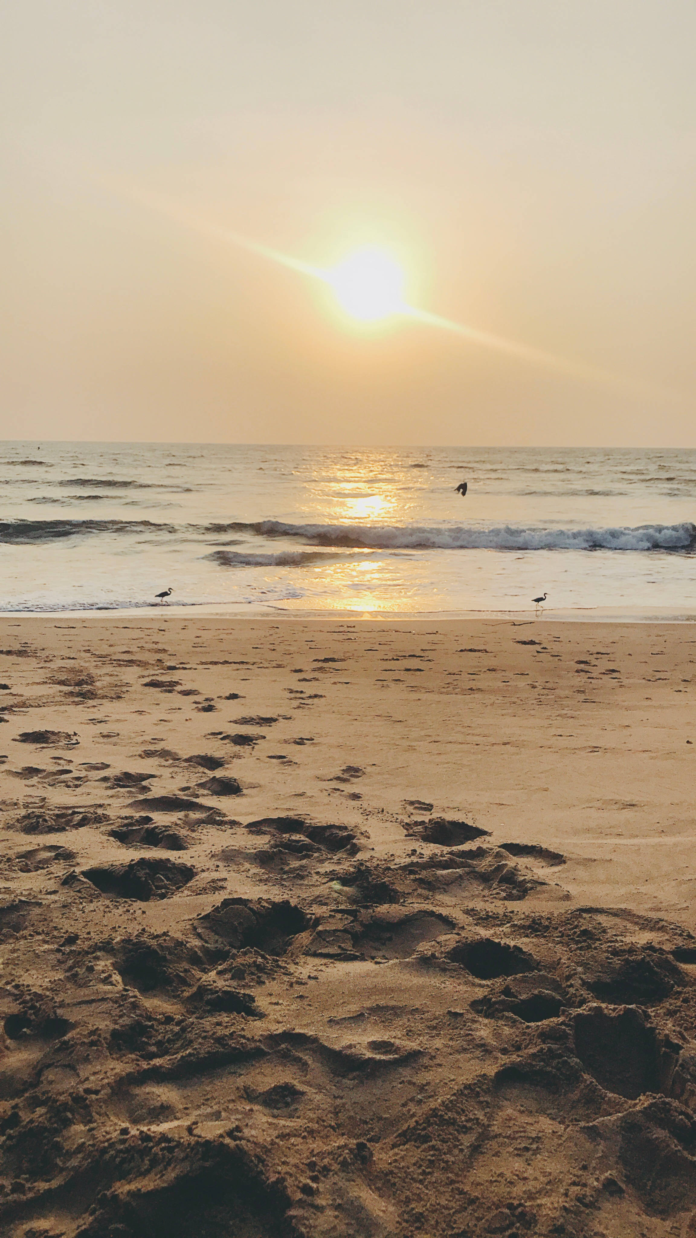 Goa India, sunrise, golden sunset, 4K Phone Wallpaper