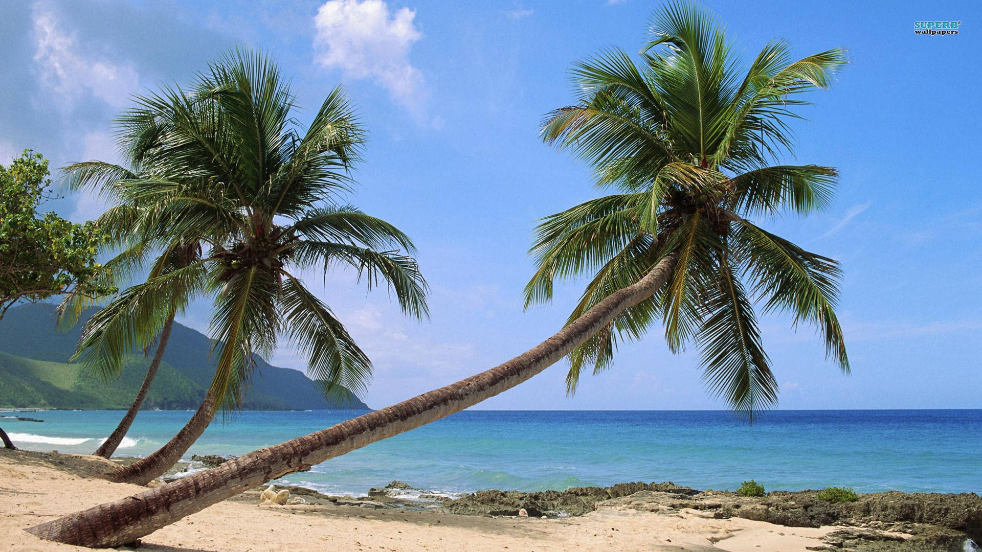 Goa India, white clouds, palm trees, Full HD Desktop Wallpaper
