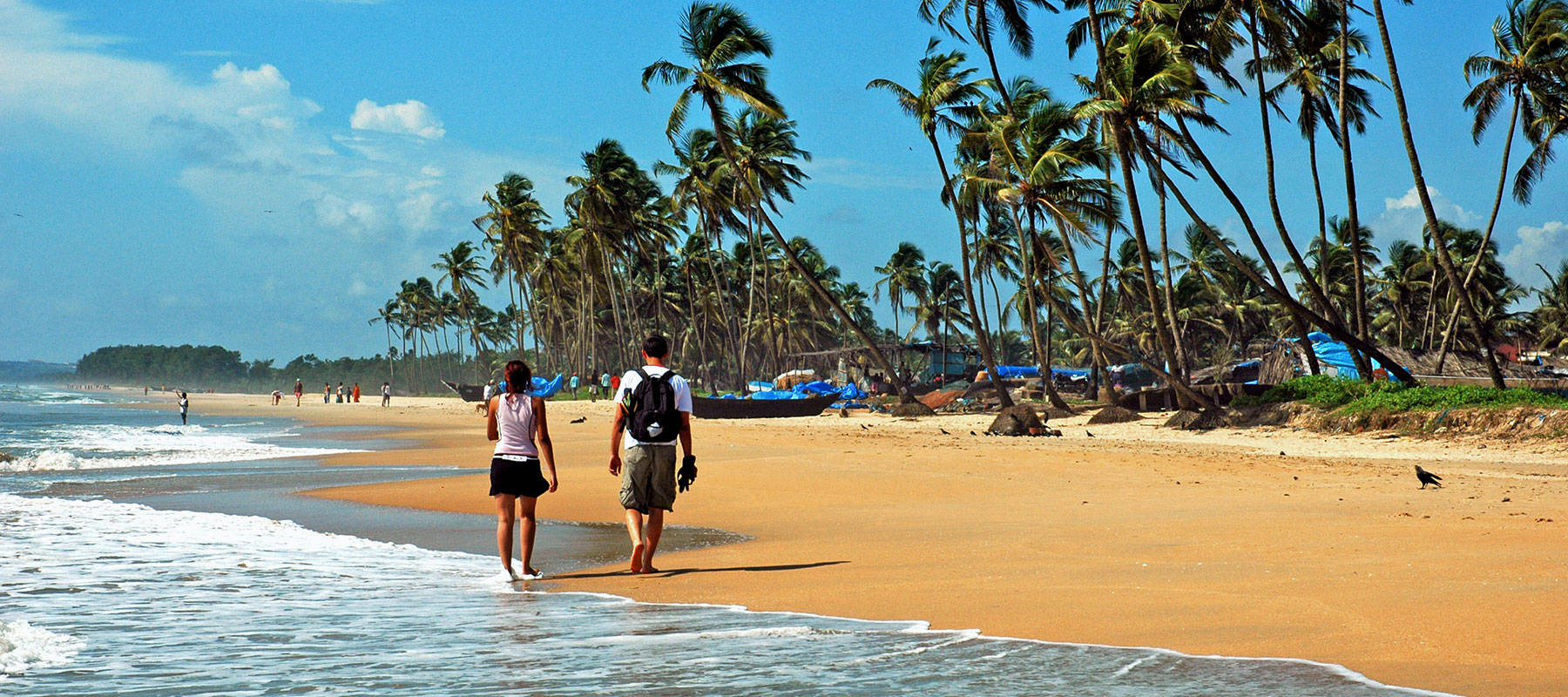 Goa India, beach, palm trees, HD Desktop Wallpaper