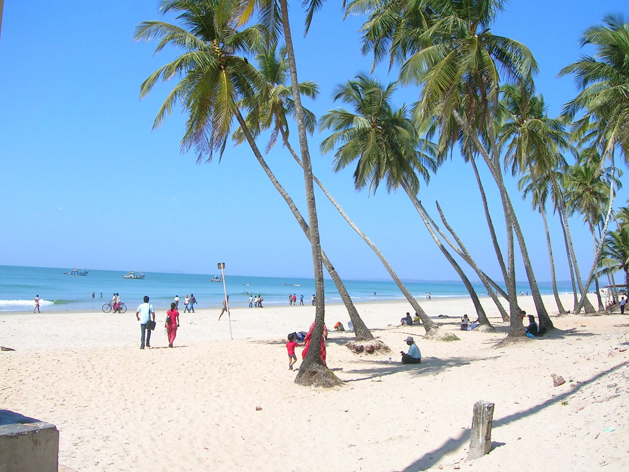 Goa India, palm trees, tropical beach scene, Full HD Desktop Wallpaper