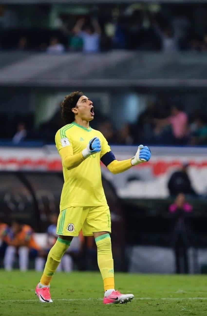 Goalkeeper, bright yellow uniform, green field, HD Phone Wallpaper