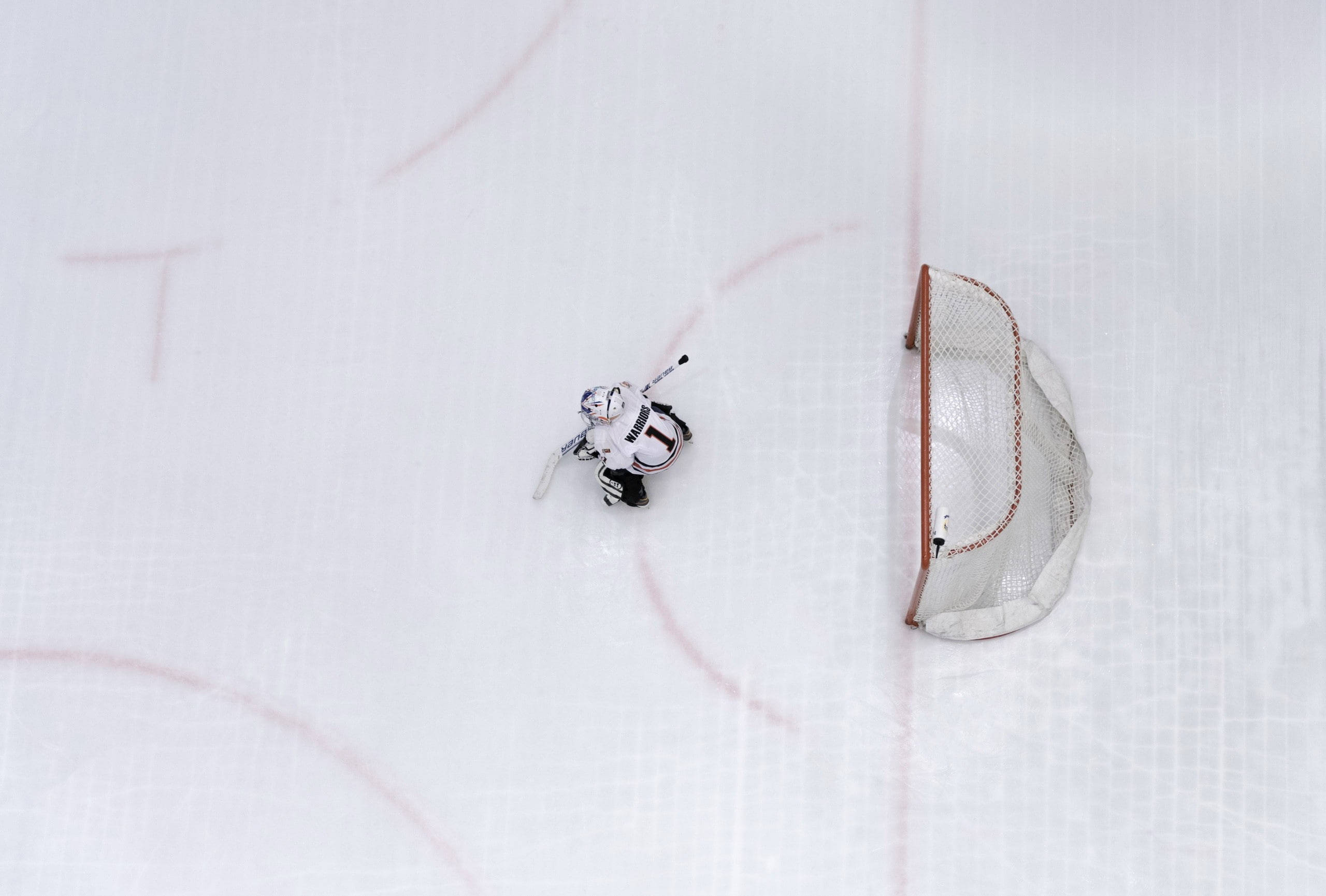 ice hockey, professional goal tender, white gear, 2K Desktop Wallpaper