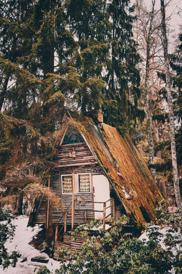 enchanted forest cabin, mossy roof, snowy forest, SD Phone Wallpaper