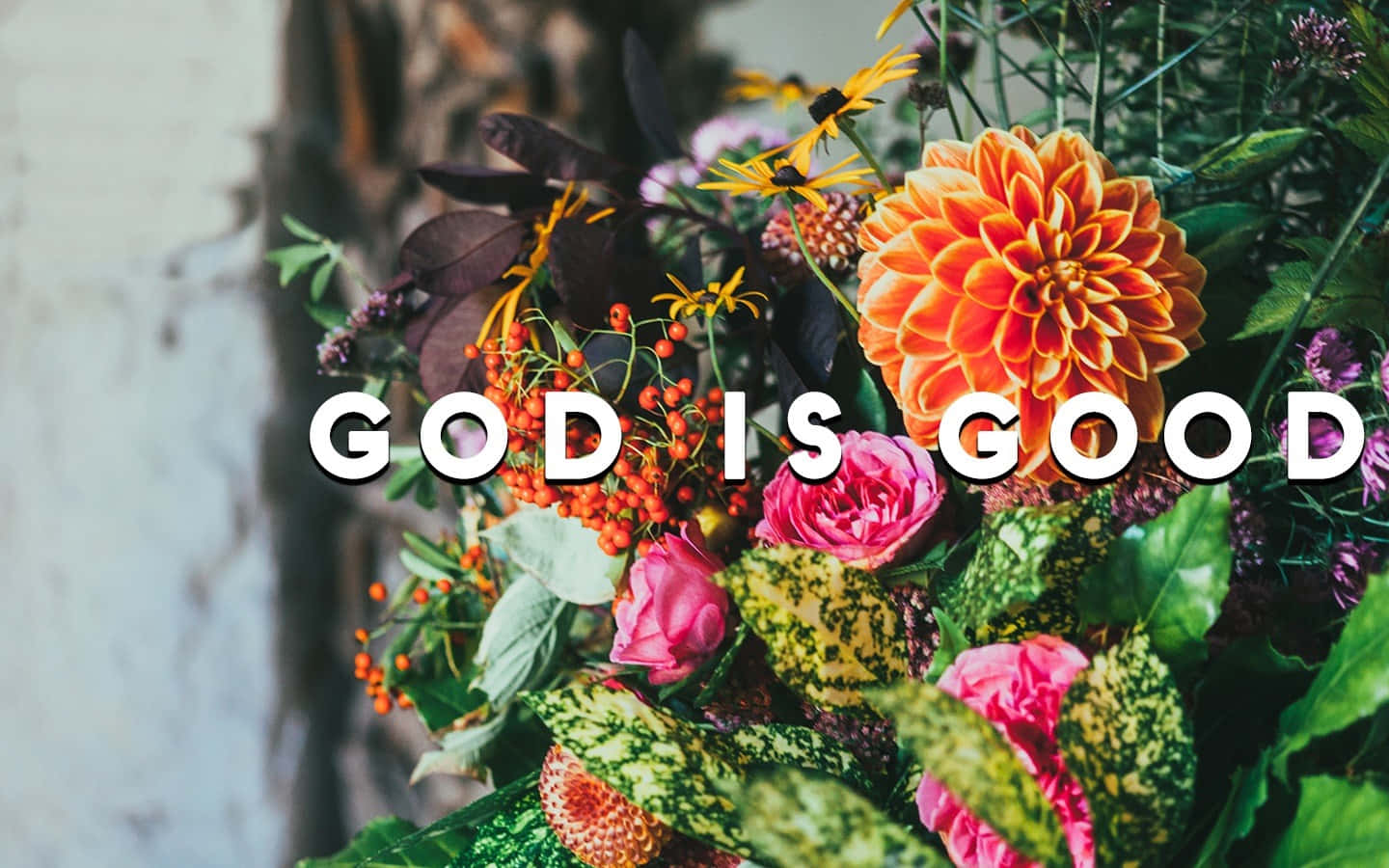 God Is Good, orange dahlia, pink roses, HD Desktop Wallpaper