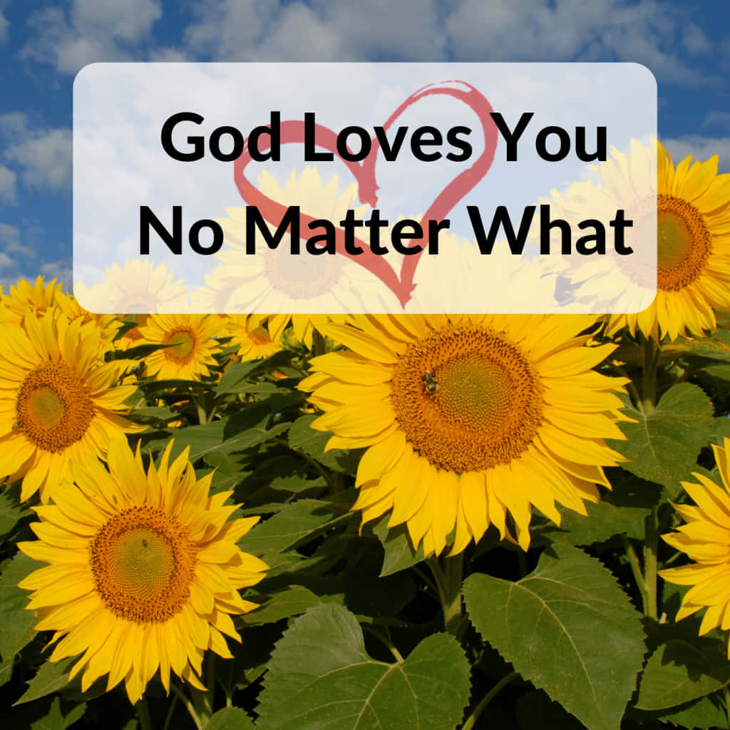 God Loves You, sunflowers, blue sky, SD Desktop Wallpaper