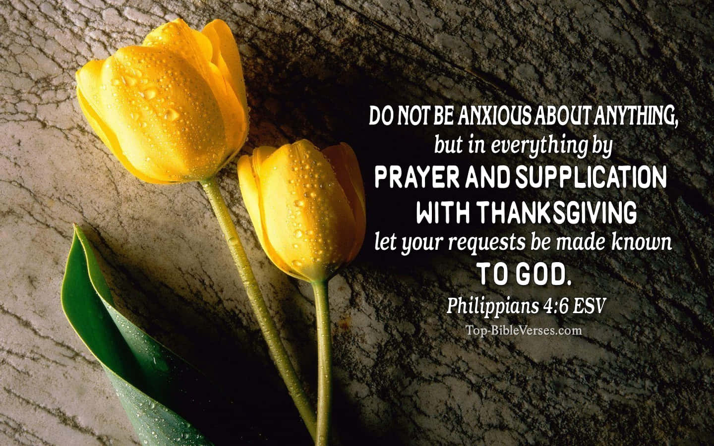 God Quotes Desktop, yellow tulips, dark marble surface, HD Desktop Wallpaper