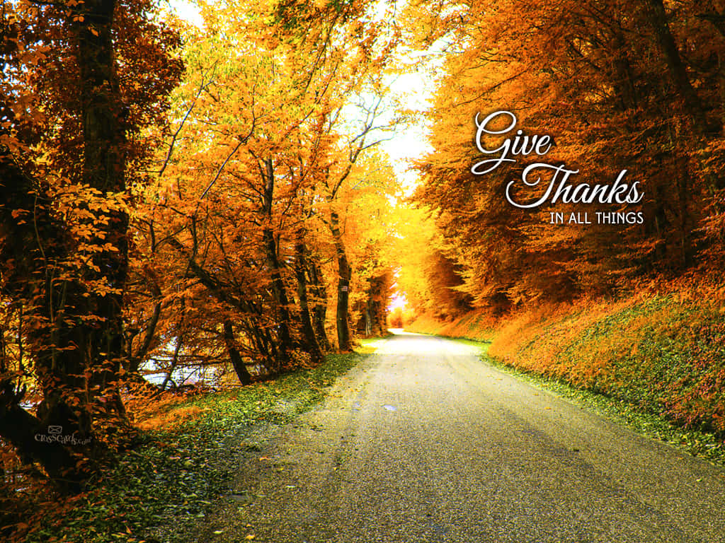 Trust in the Lord with all your heart, and lean not on your own understanding, golden autumn trees, warm sunlight, SD Desktop Wallpaper