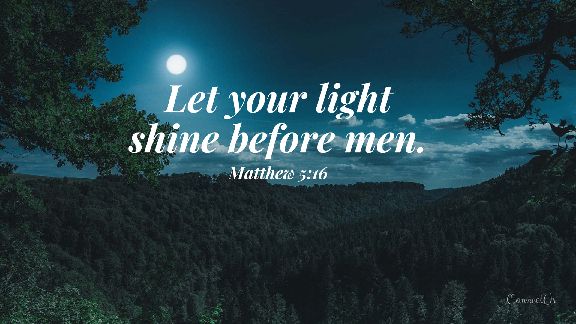 moonlit forest valley, tree branches, Proverbs 3:5, Full HD Desktop Wallpaper