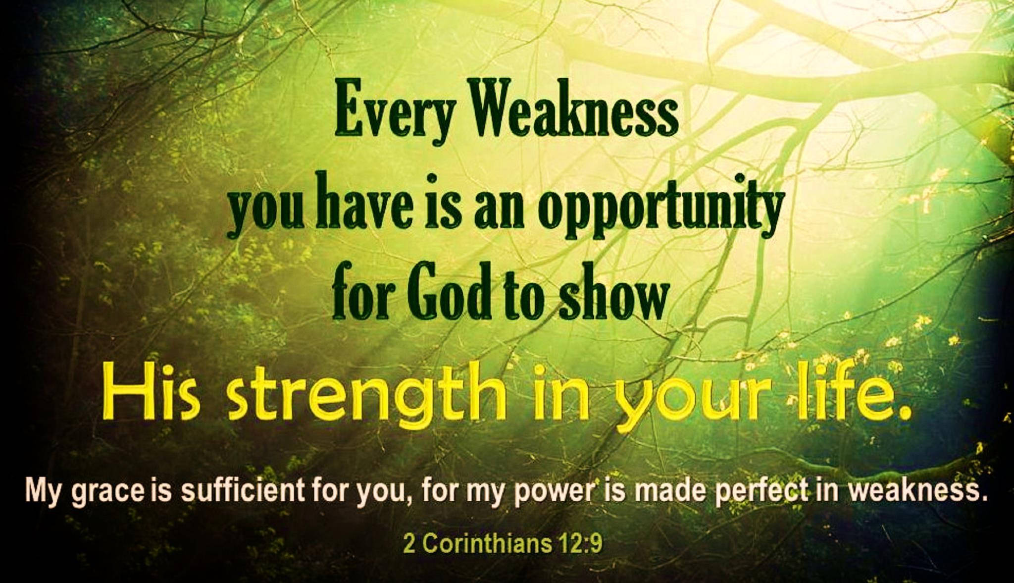 God quotes, sufficient grace, forest, Full HD Desktop Wallpaper