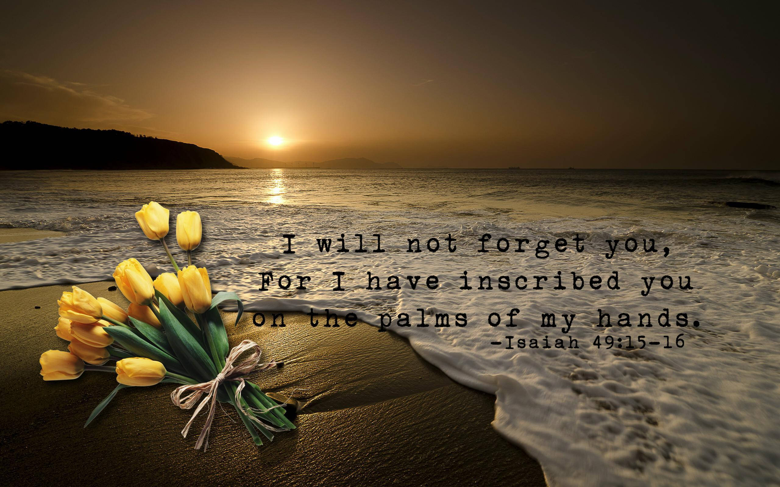 Isaiah 49:15, bible verse, yellow tulips, 2K Desktop Wallpaper