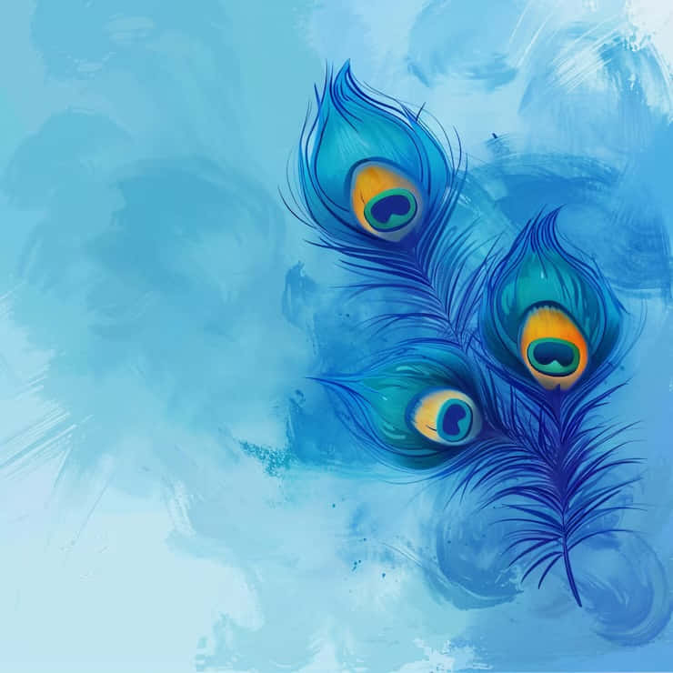 lord krishna, peacock feathers, iridescent eyespots, SD Desktop Wallpaper