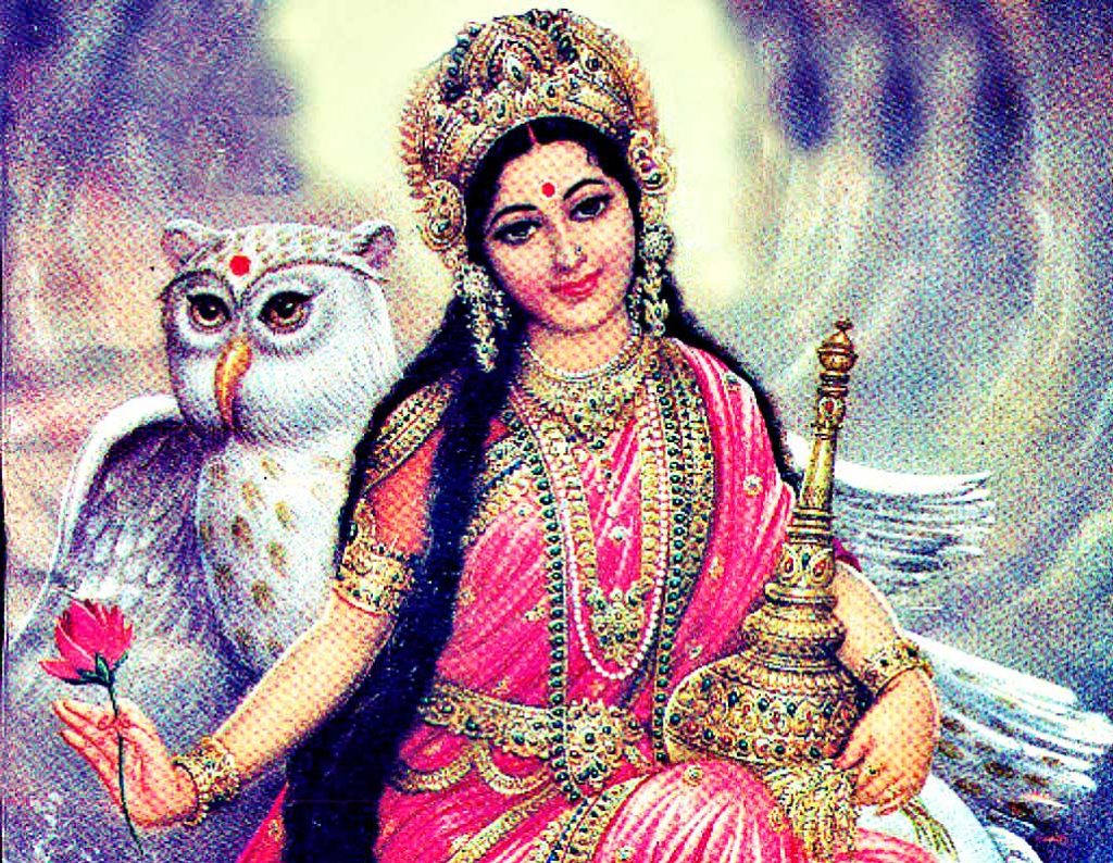 Goddess Lakshmi, owl, pink and gold regalia, SD Desktop Wallpaper
