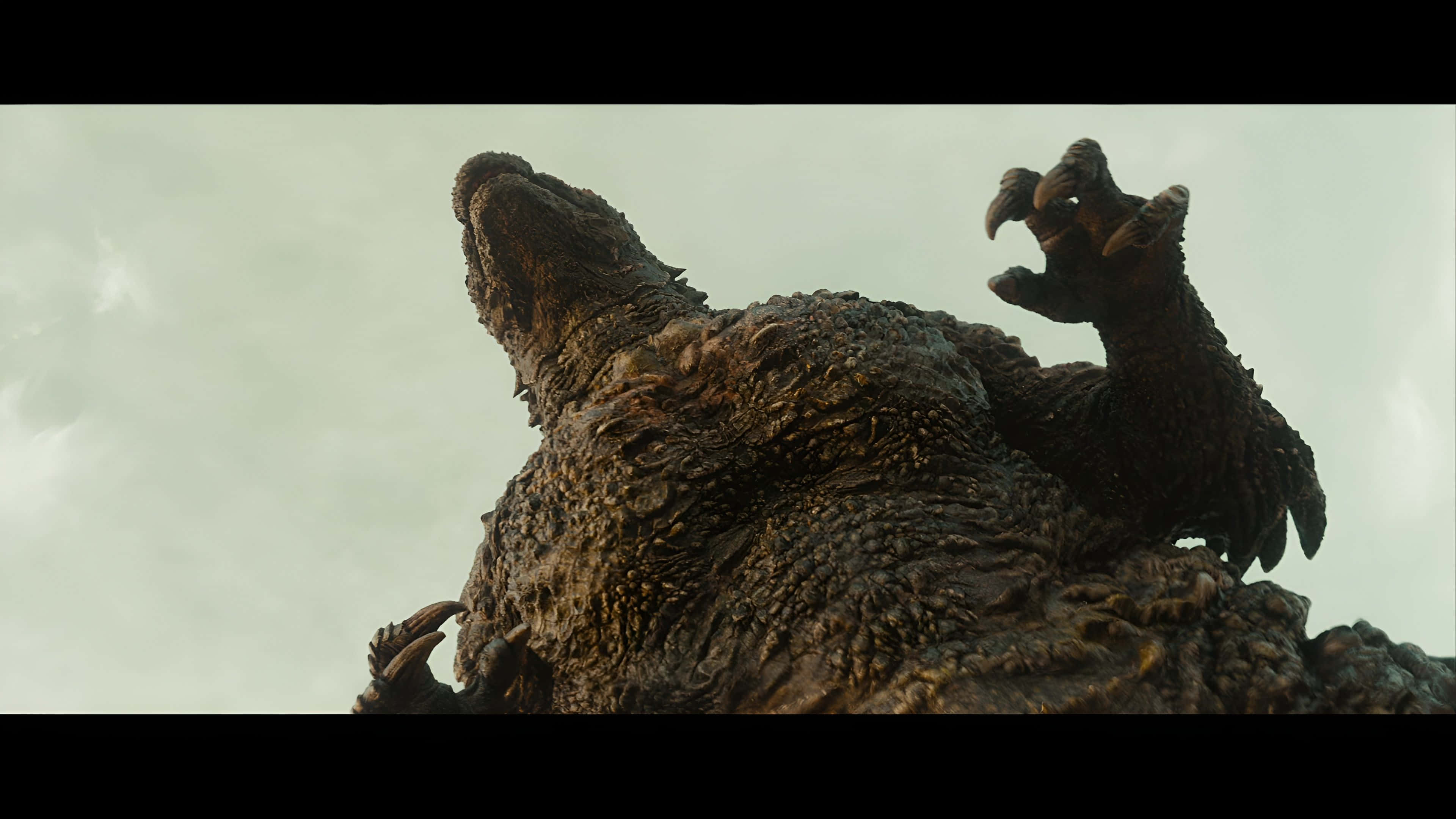 Godzilla Minus One, epic battle, pale overcast sky, 4K Desktop Wallpaper