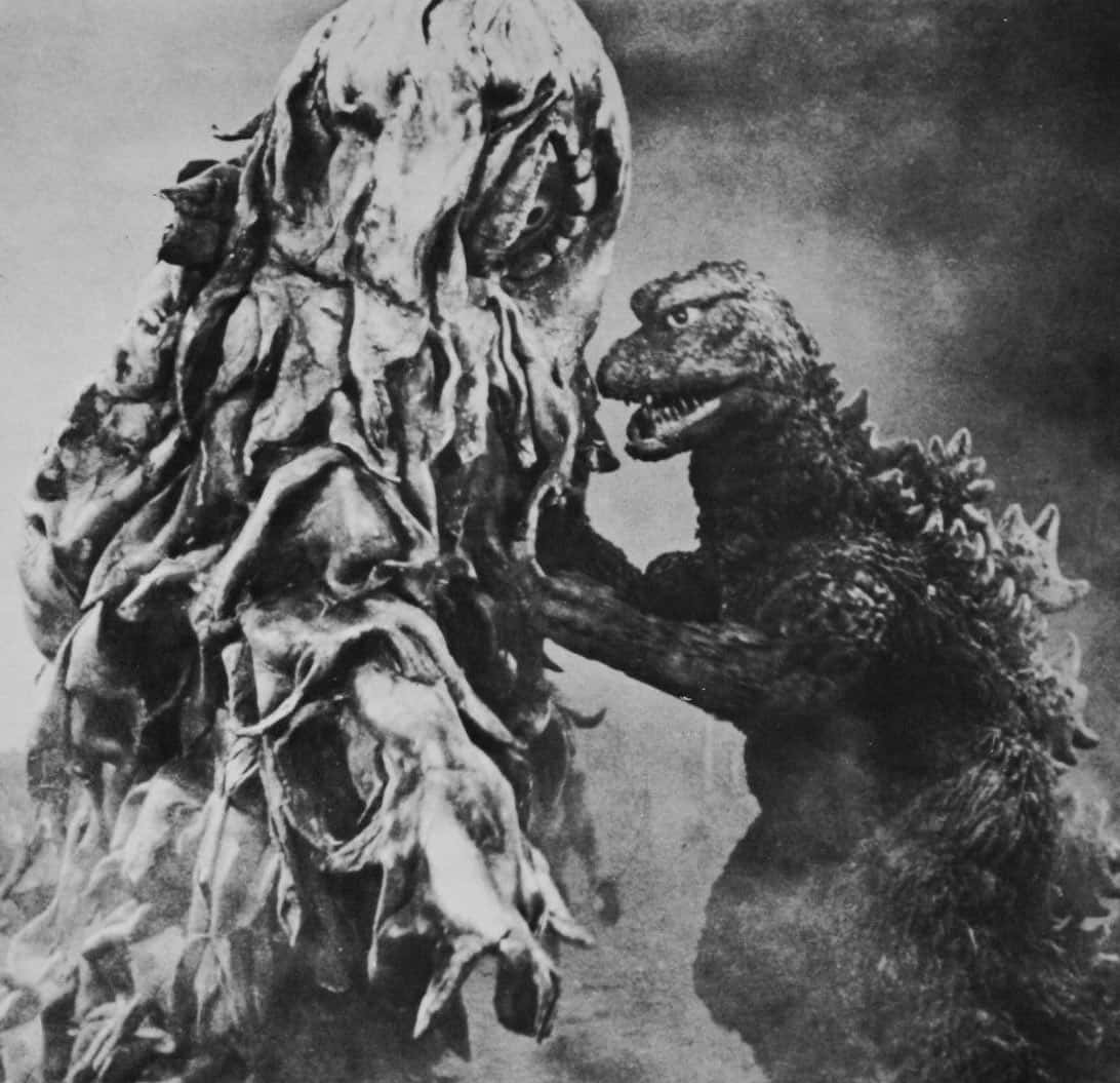 Godzilla, Hedorah, black and white cinematic showdown, SD Desktop Wallpaper