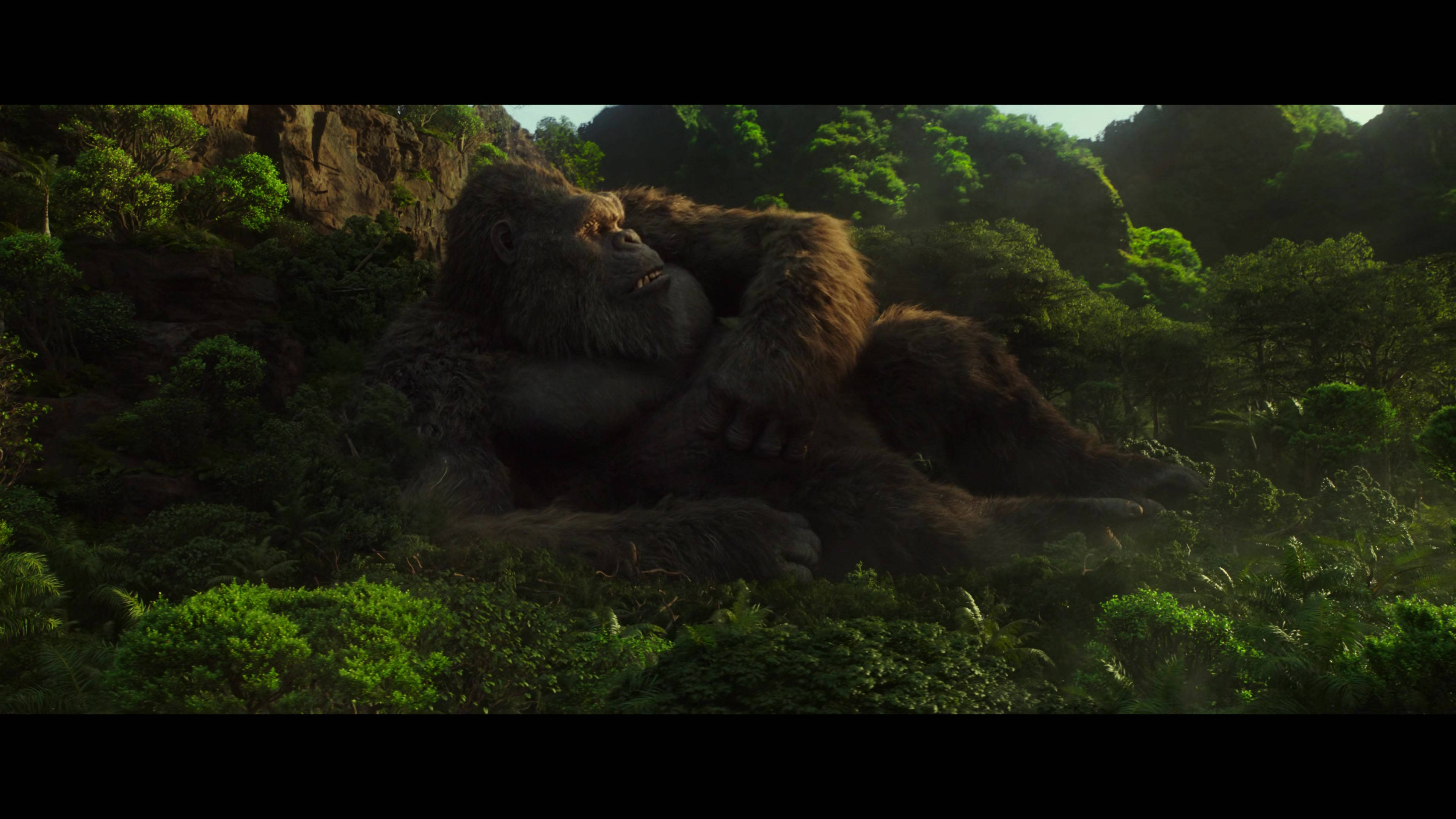 Godzilla Vs Kong 2021, colossal gorilla, lush green jungle foliage, 4K Desktop Wallpaper