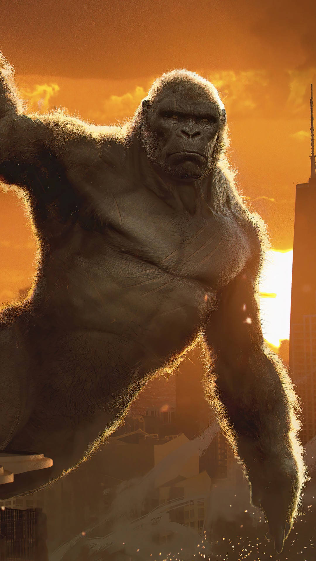Kong, cityscape, sunset, Full HD Phone Wallpaper