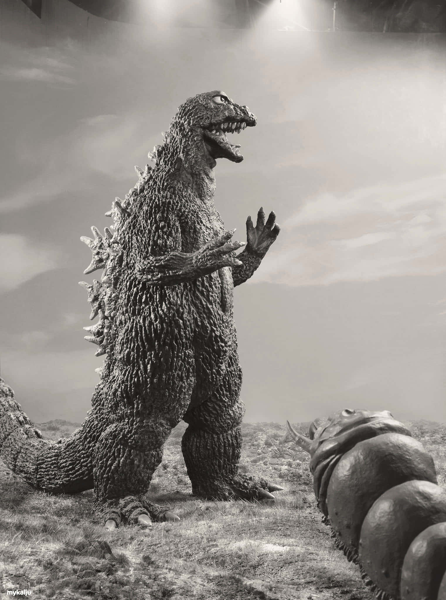 Godzilla, Mothra, rocky terrain, Full HD Phone Wallpaper
