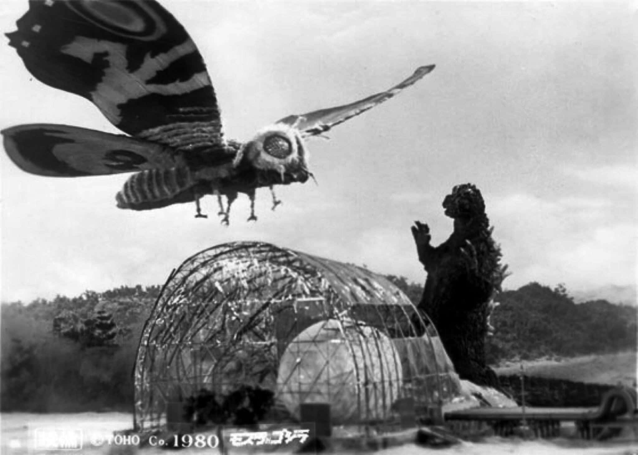 Godzilla, Mothra, shattered dome structure, Full HD Desktop Wallpaper