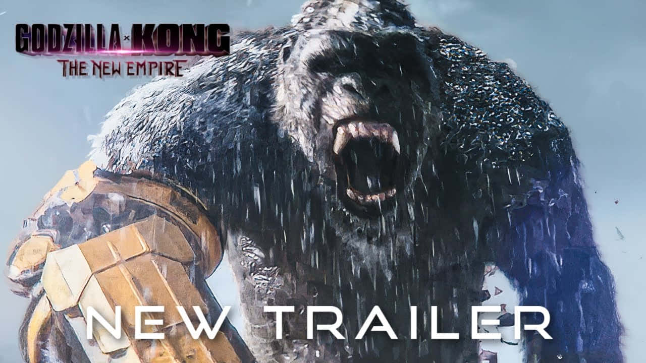 Godzilla X Kong The New Empire, Kong, stormy rain, HD Desktop Wallpaper