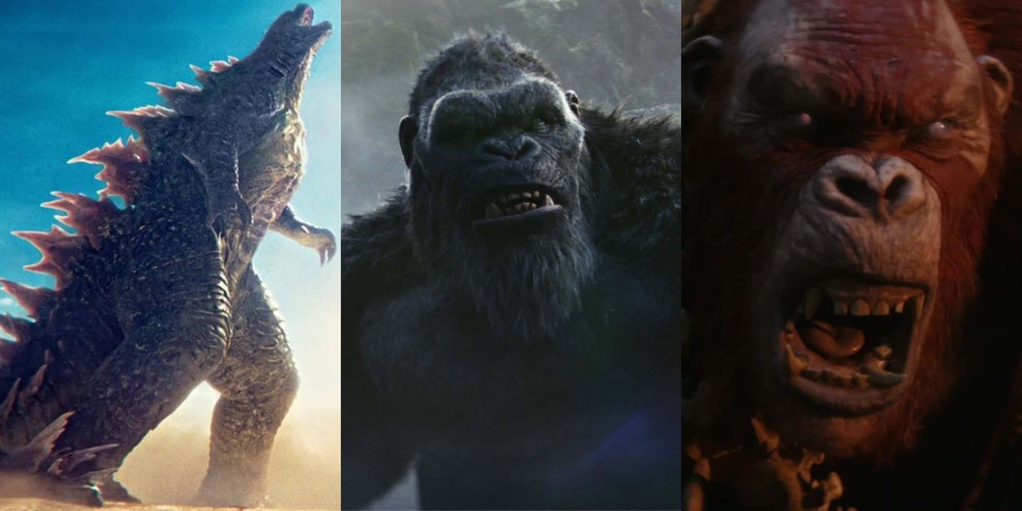 Godzilla, Kong, red ape, Full HD Desktop Wallpaper